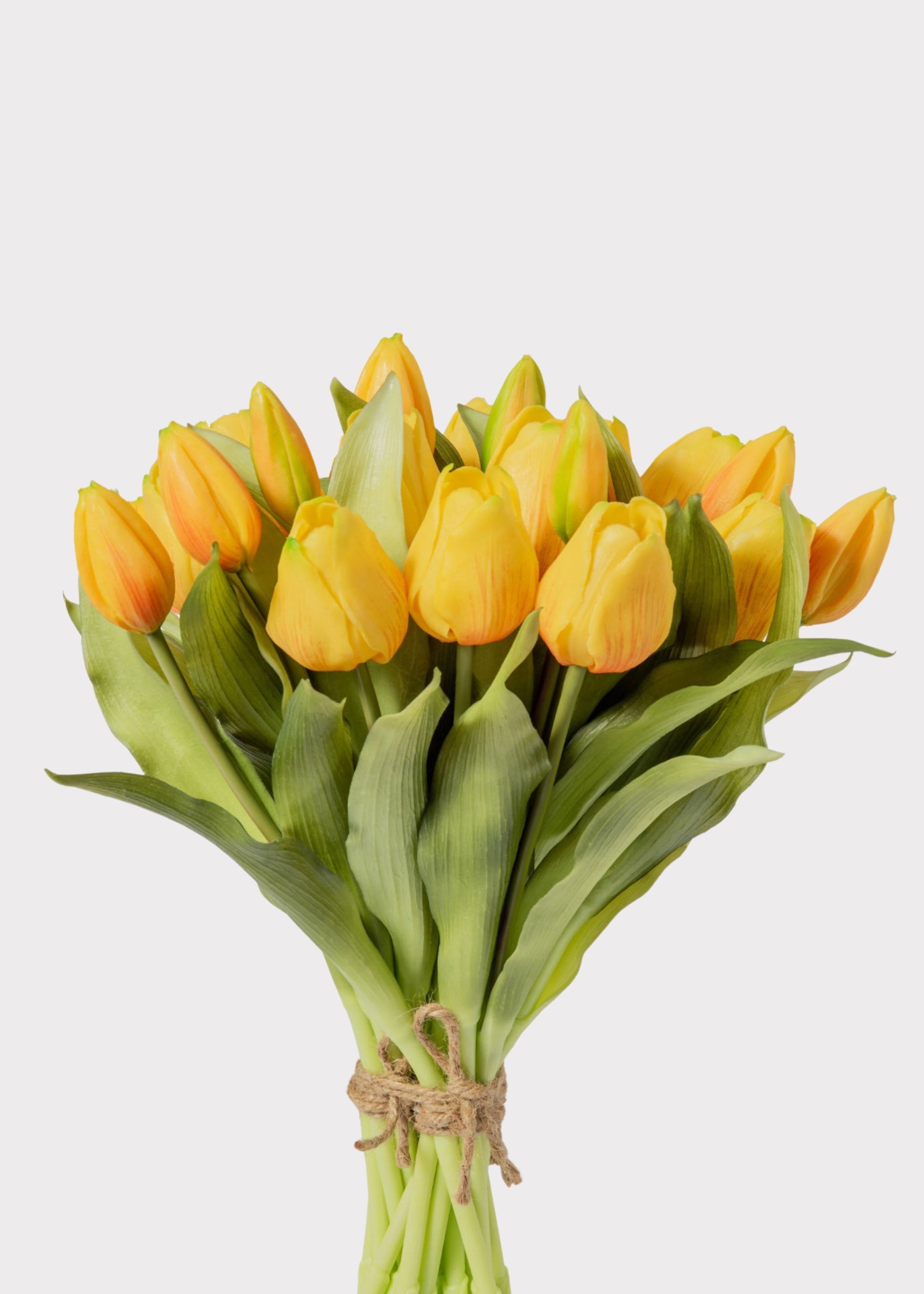 Yellow Tulip for Home Styling