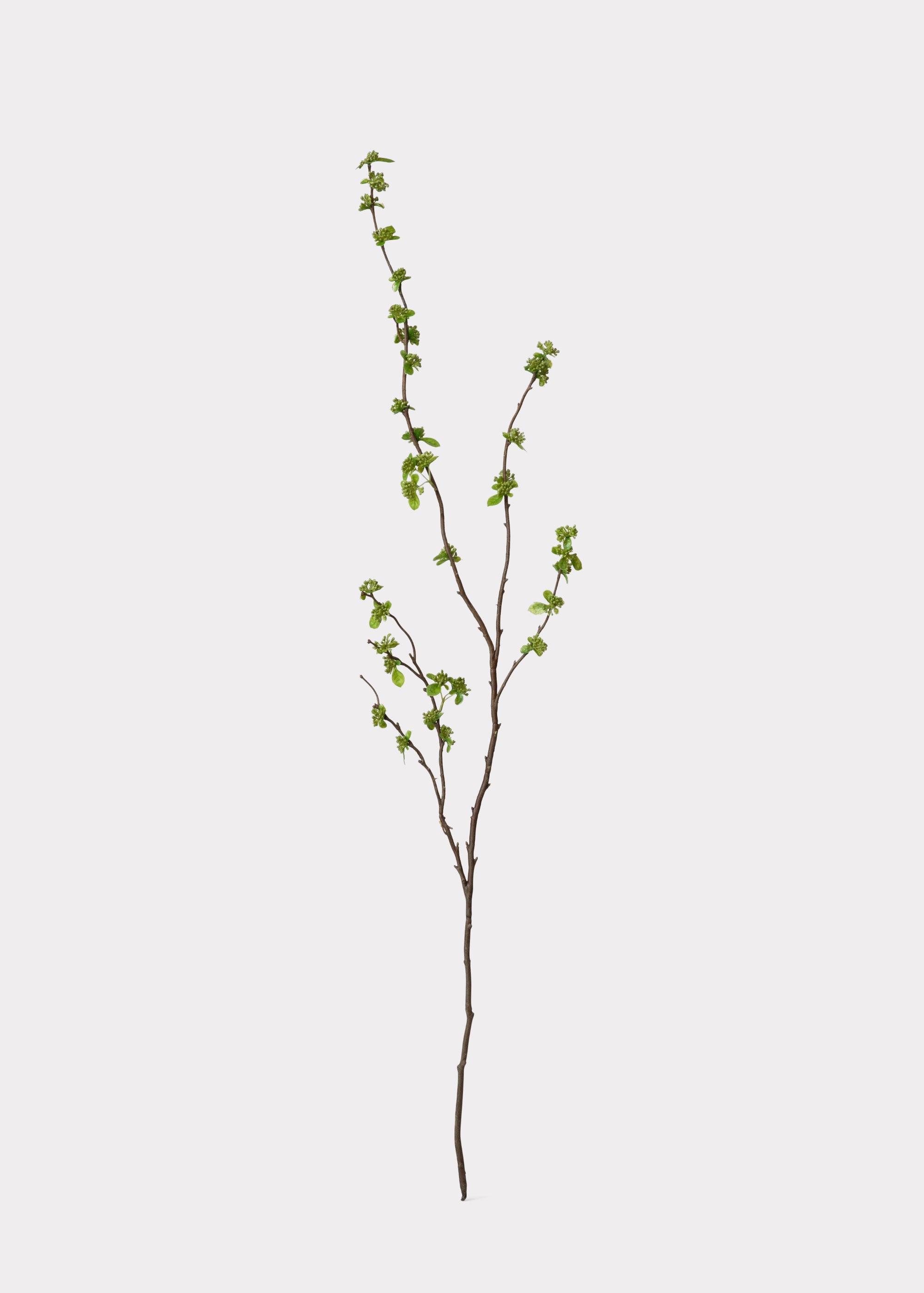 Faux With Green Buds Branch for Seasonal Vase Styling