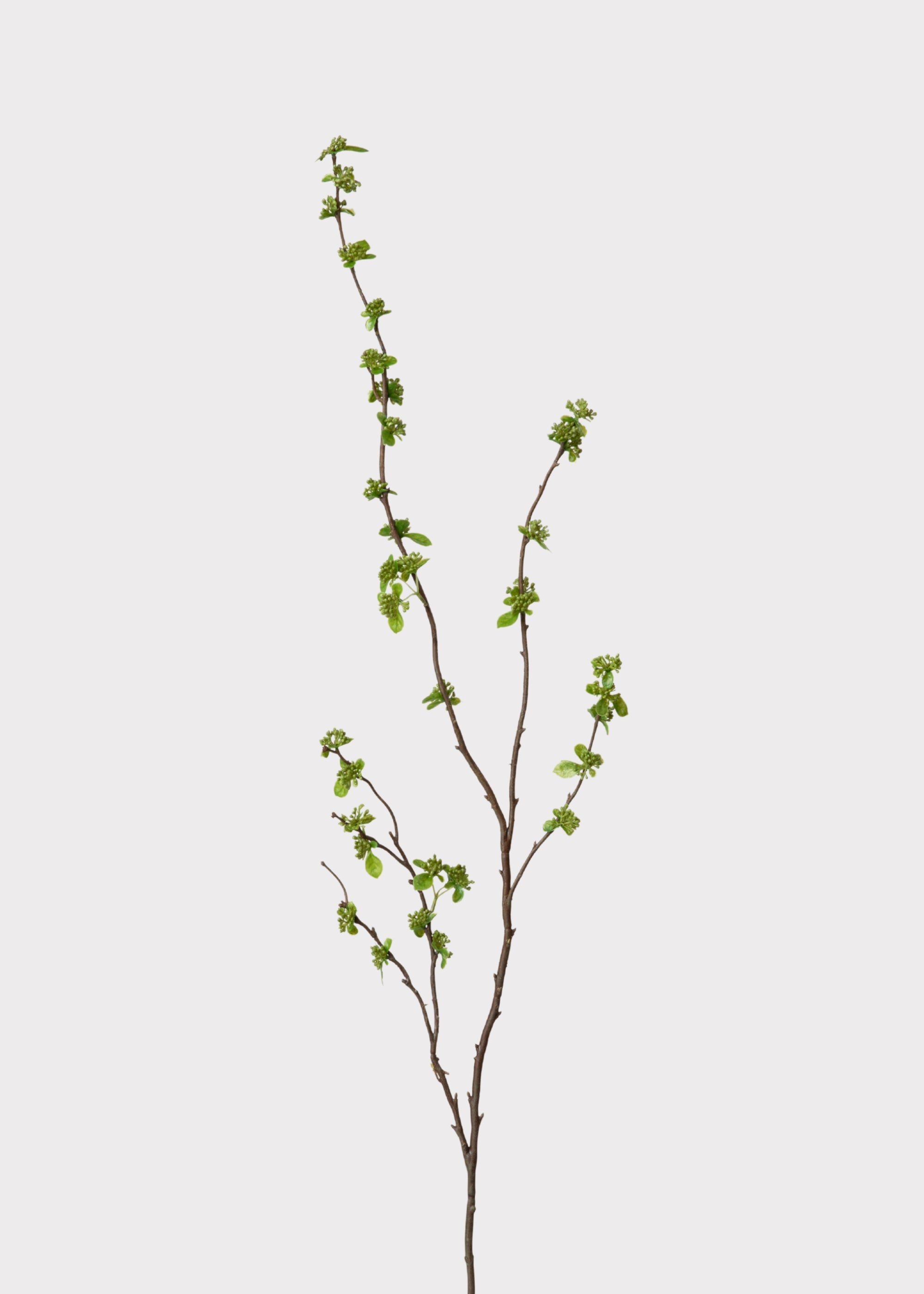 Faux With Green Buds Branch for Seasonal Vase Styling