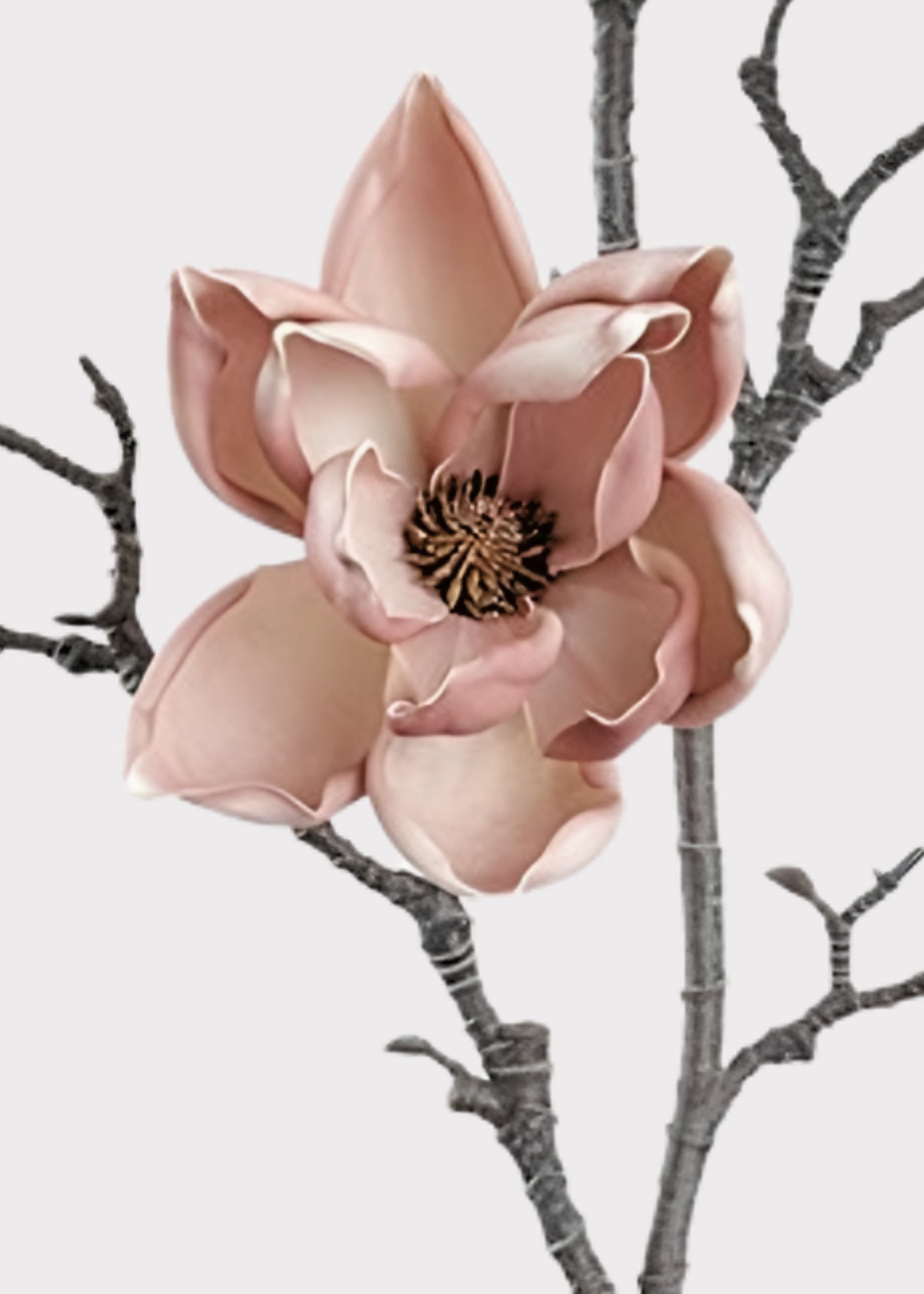 Mauve Faux Magnolia Branch for Seasonal Vase Styling