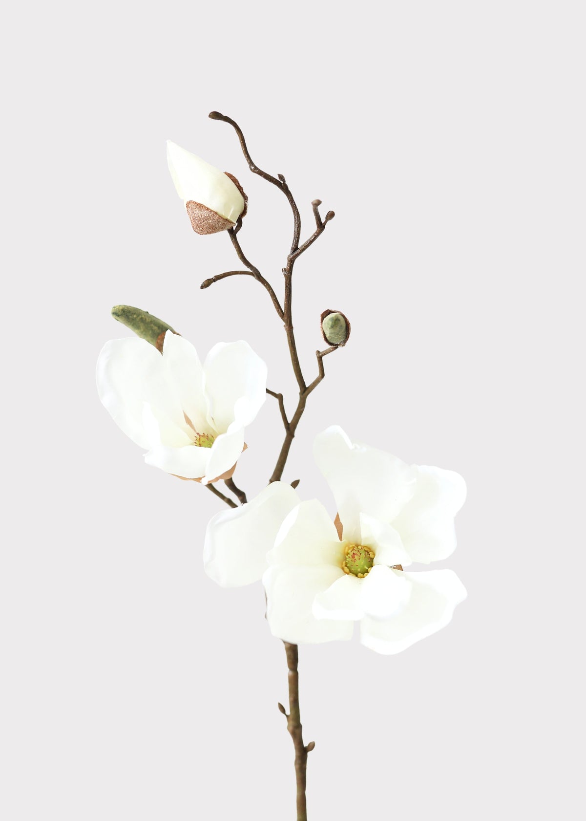 Cream Faux Magnolia Stem for Vase and Wedding Styling