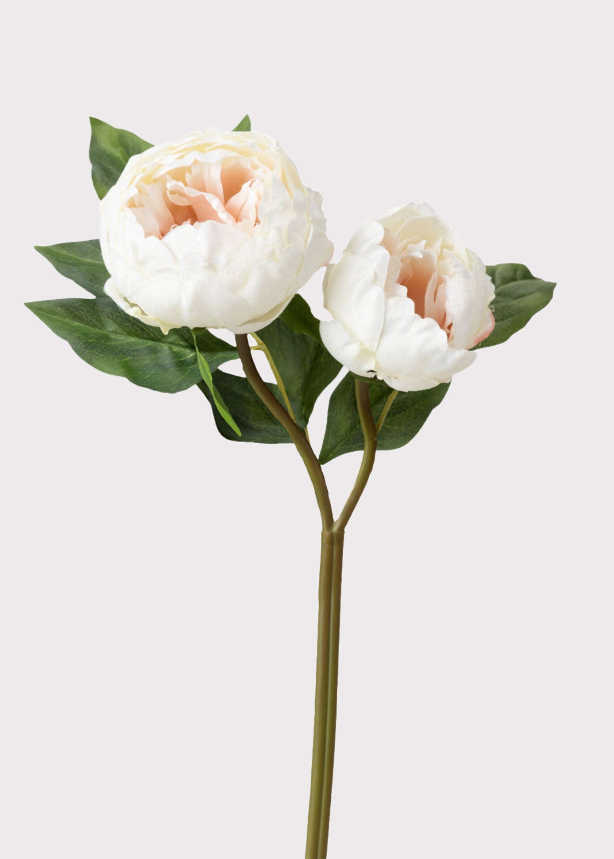 Cream Faux Peony Stem for Vase and Wedding Styling