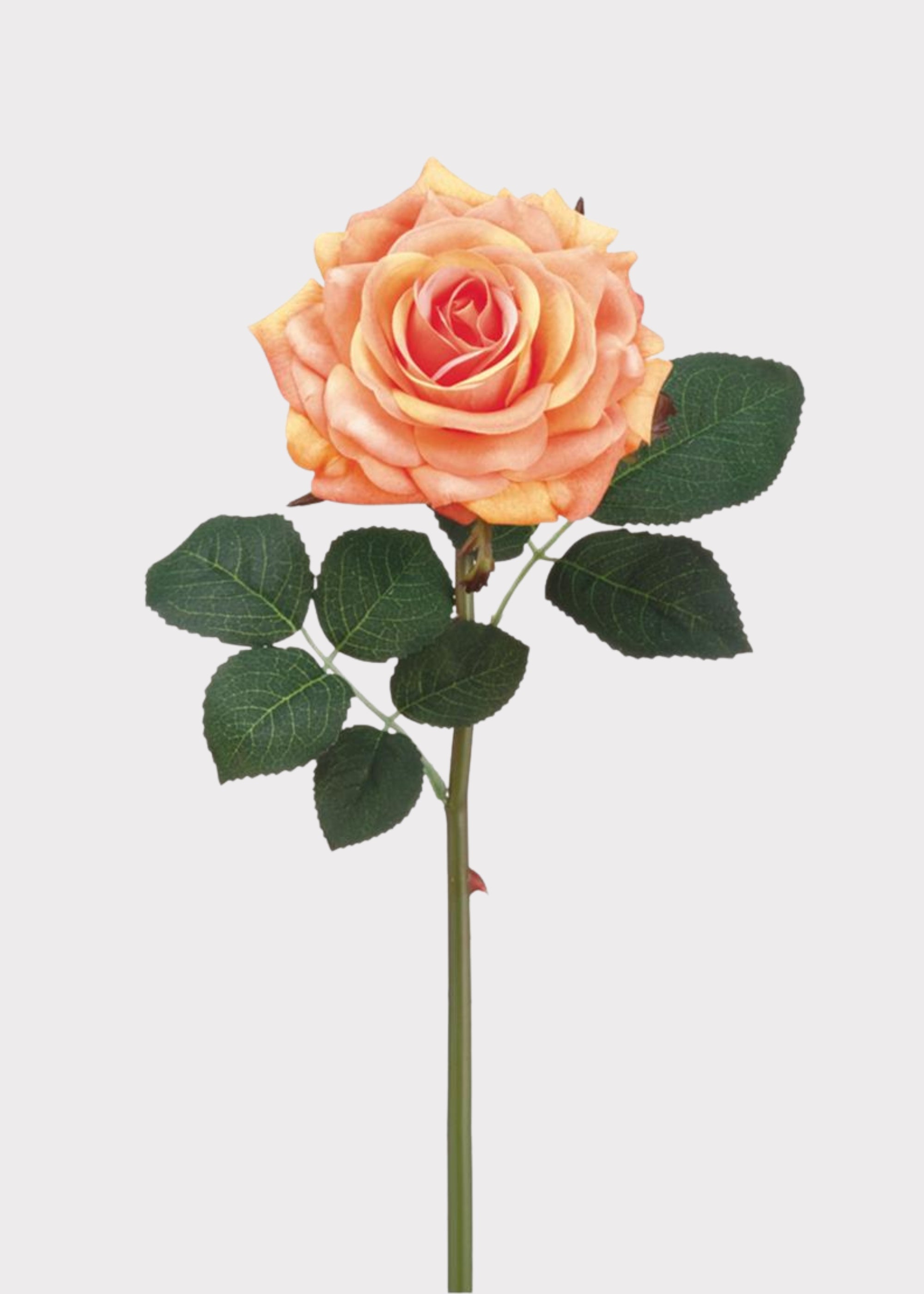 Peach Real Touch Rose Stem for Vase Styling