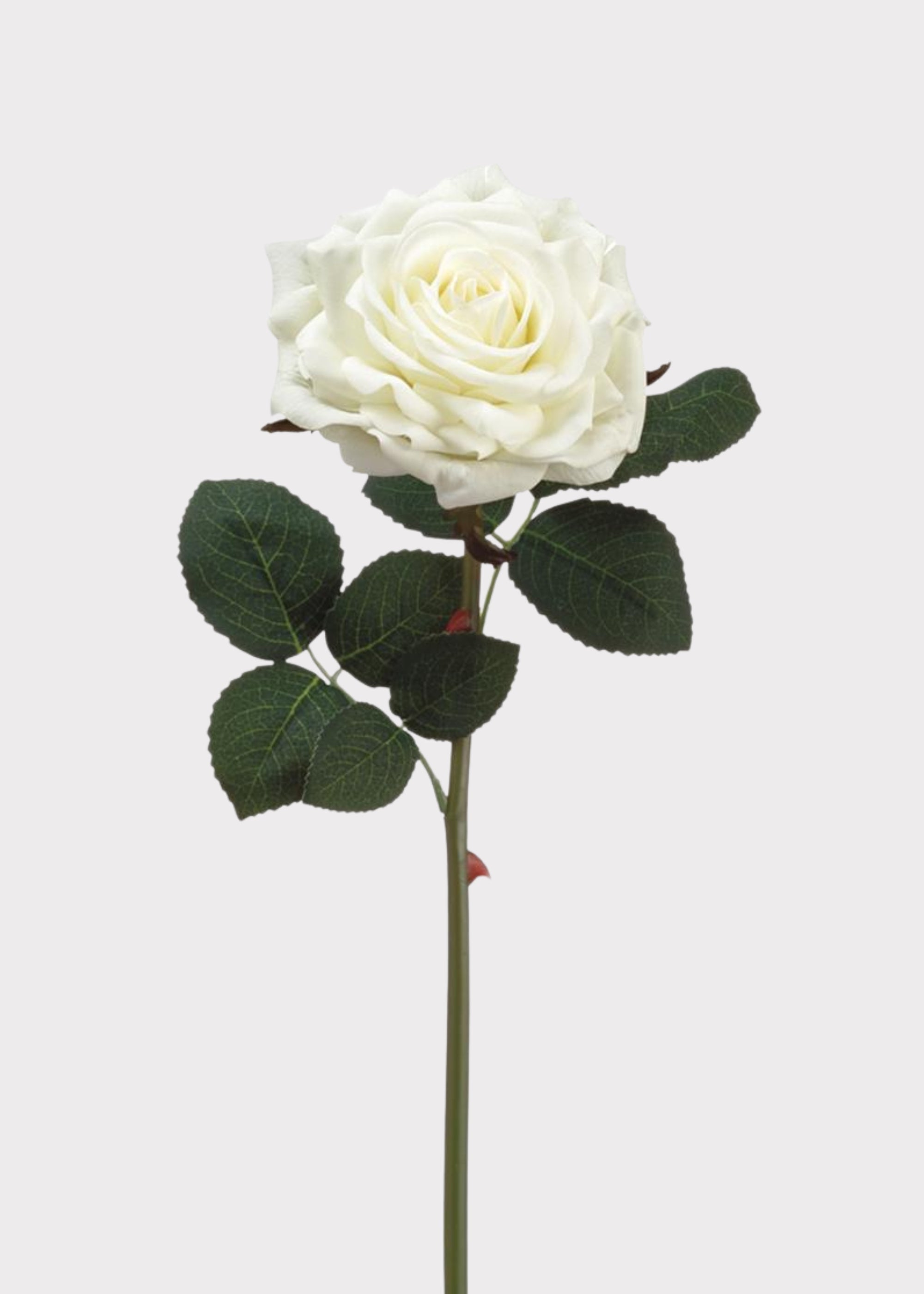 White Real Touch Rose Stem for Vase and Wedding Styling
