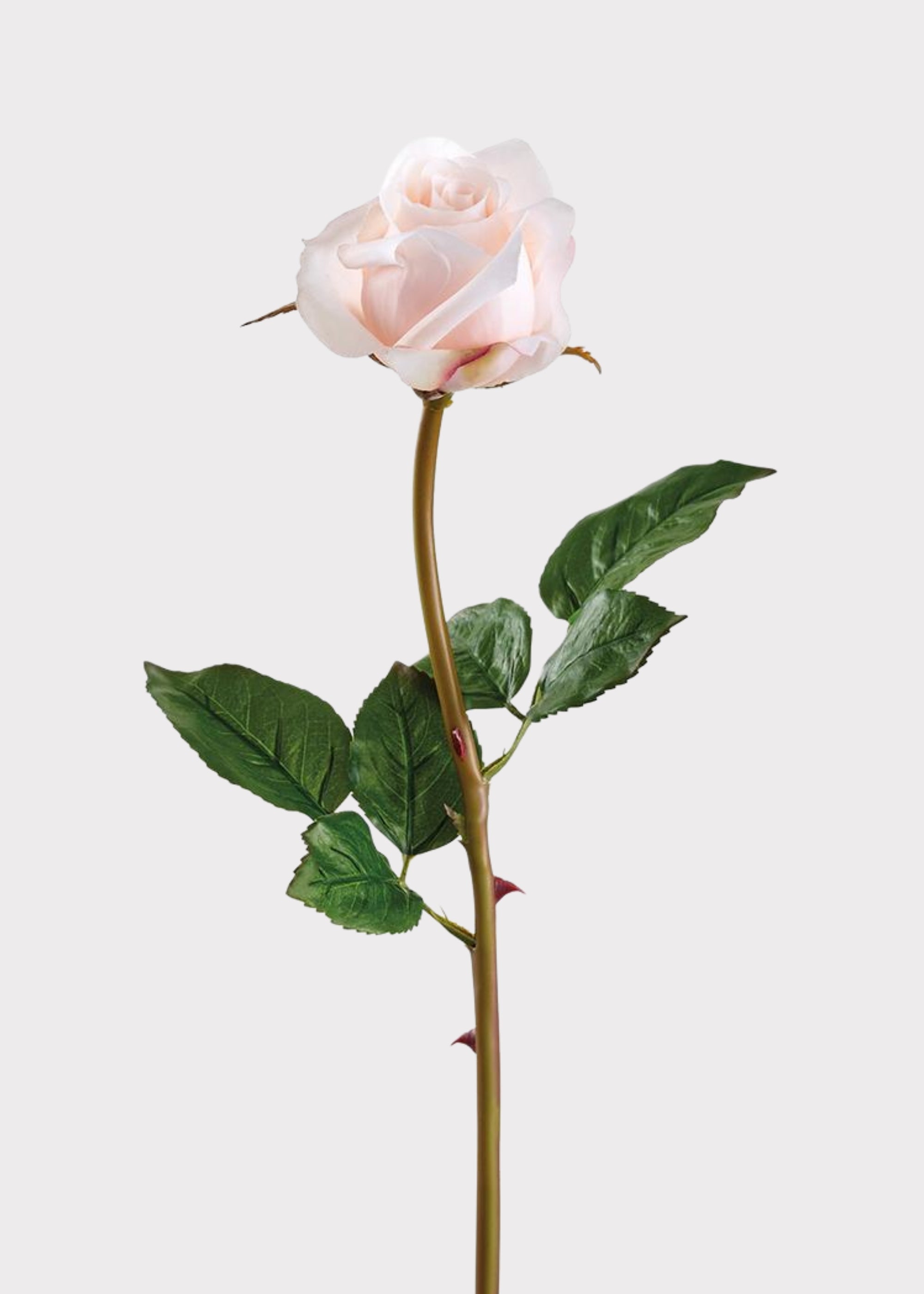 Blush Real Touch Rose Stem for Vase and Wedding Styling