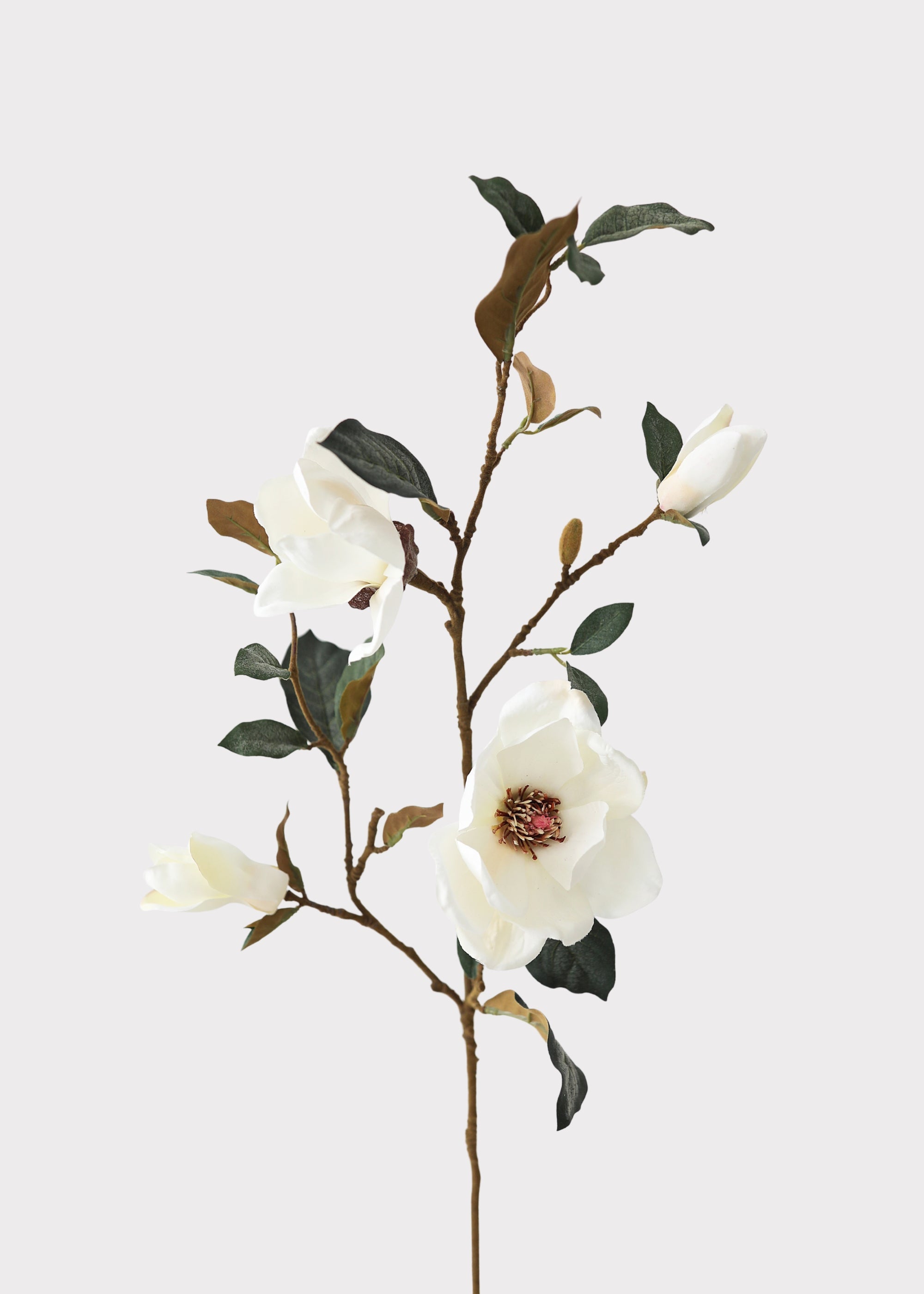 Cream Faux Magnolia Branch for Vase Styling