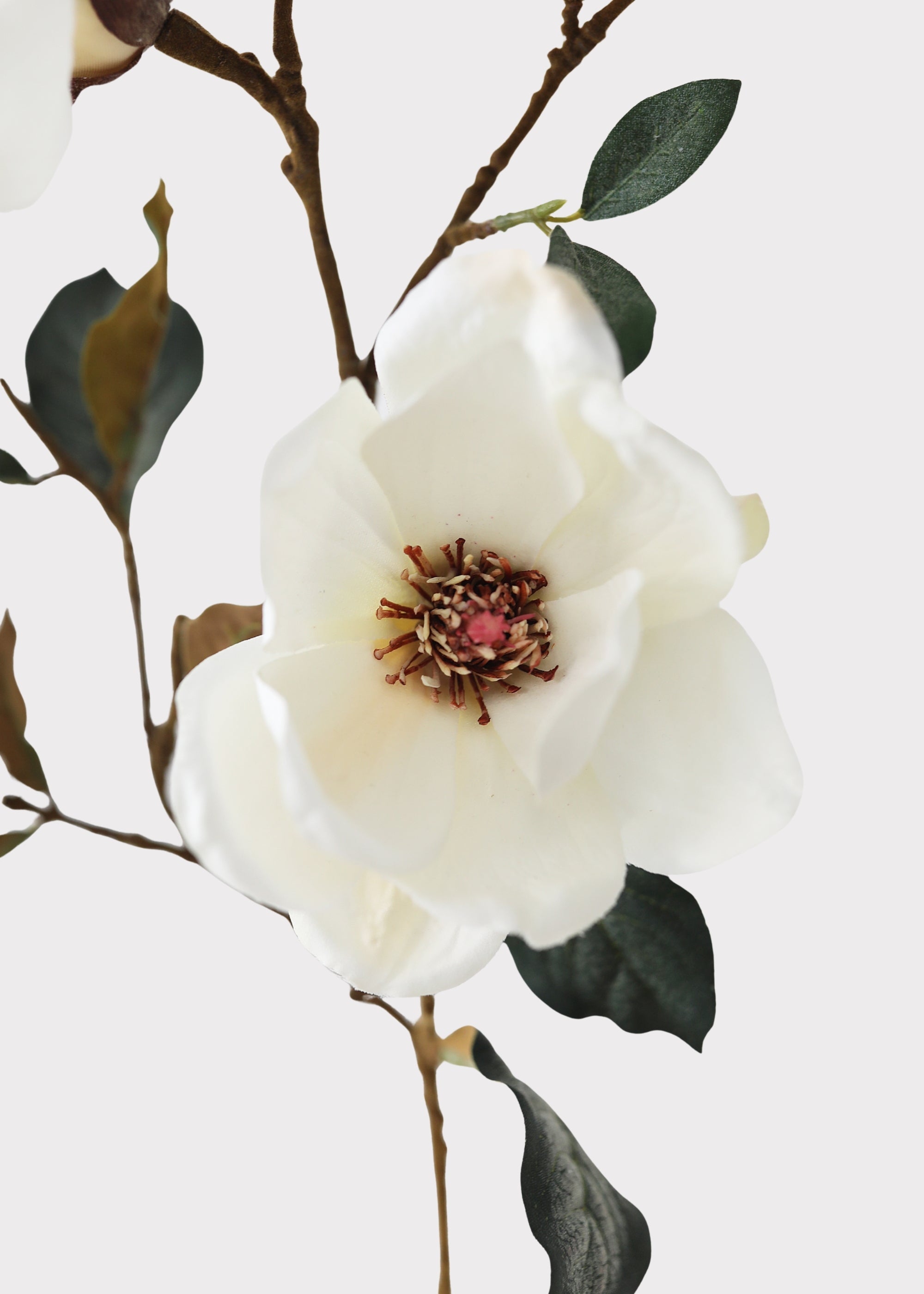Cream Faux Magnolia Branch for Vase Styling