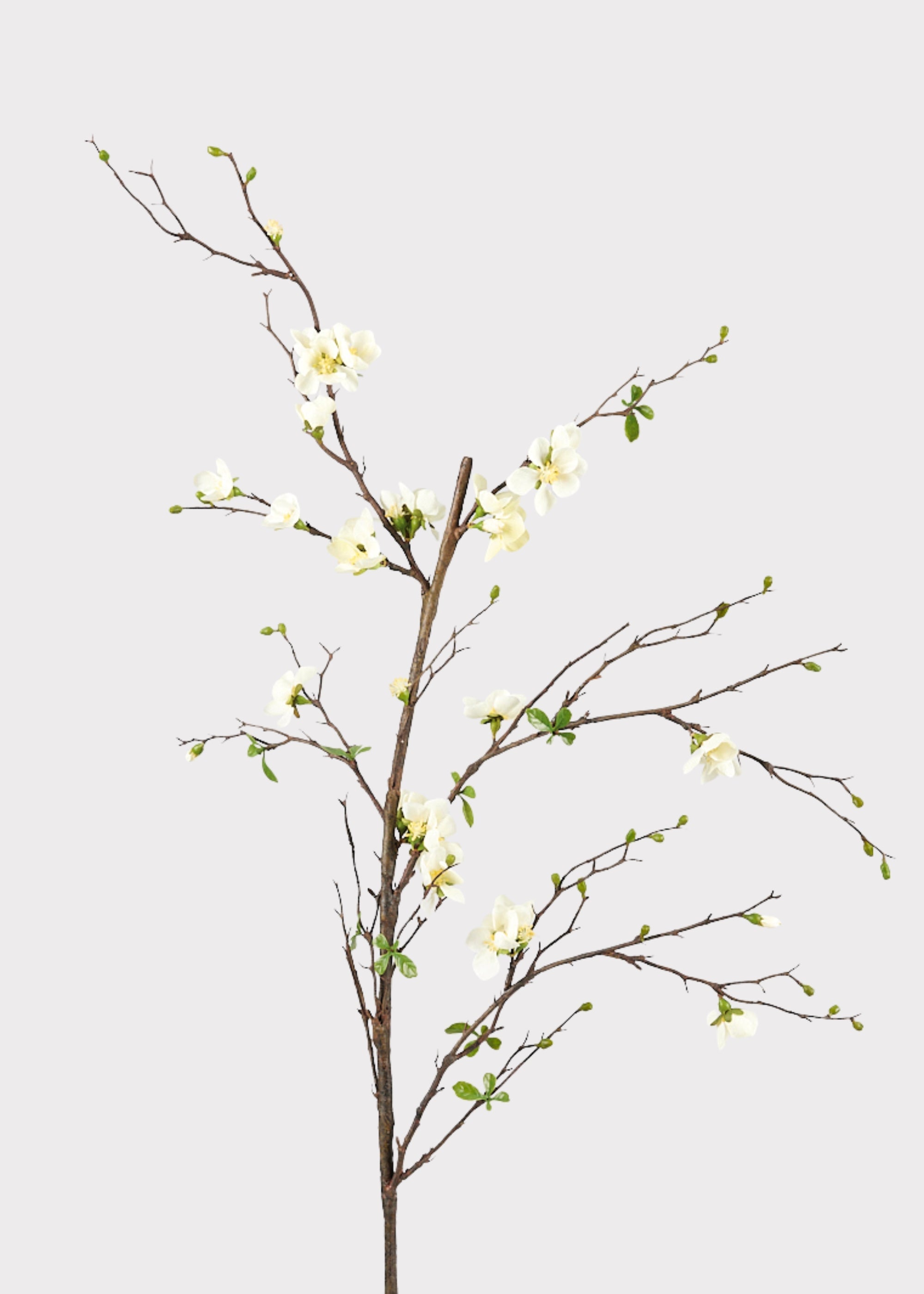Cream Faux Cherry Blossom Branch for Vase Styling