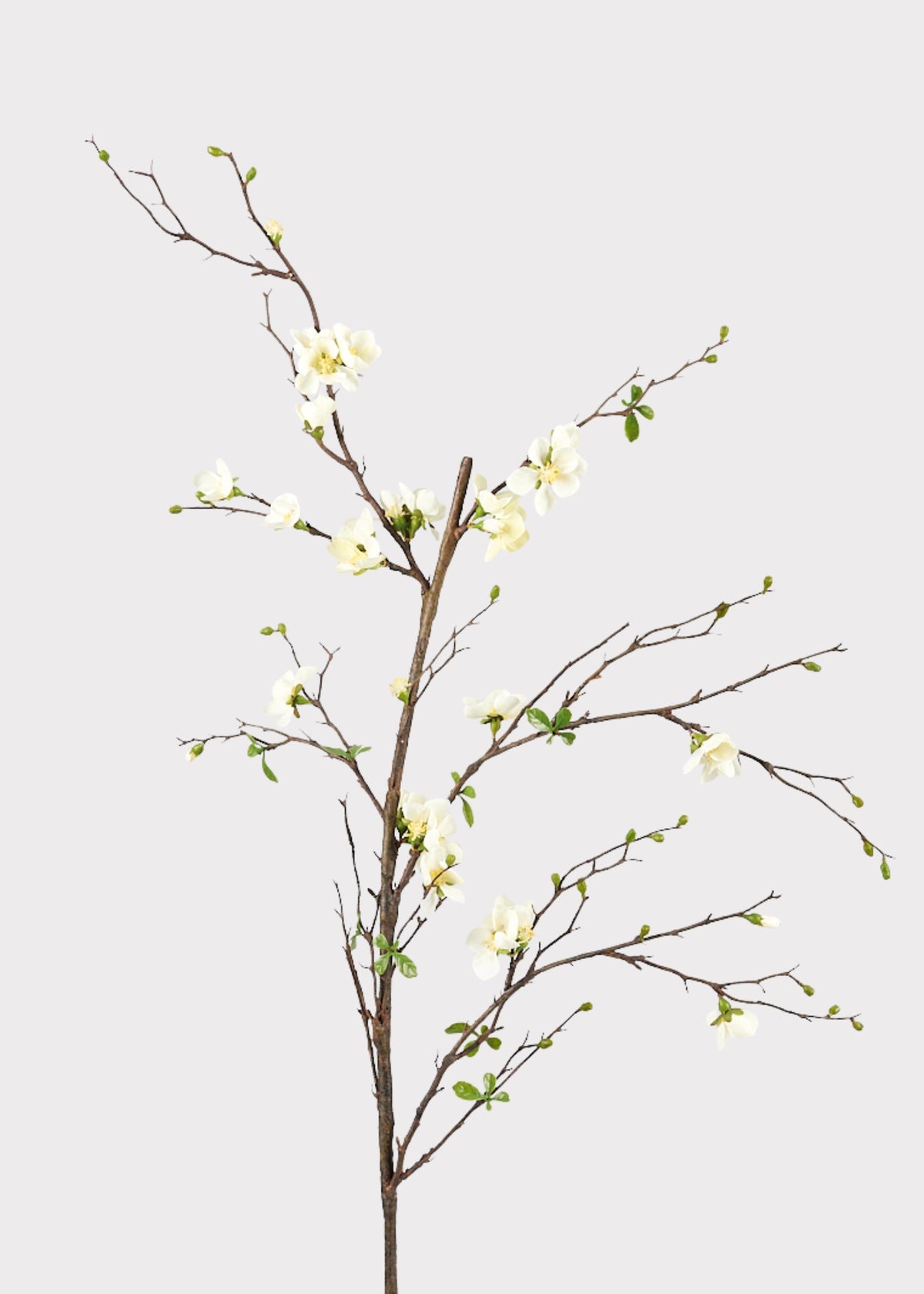 Cream Faux Cherry Blossom Branch for Vase Styling