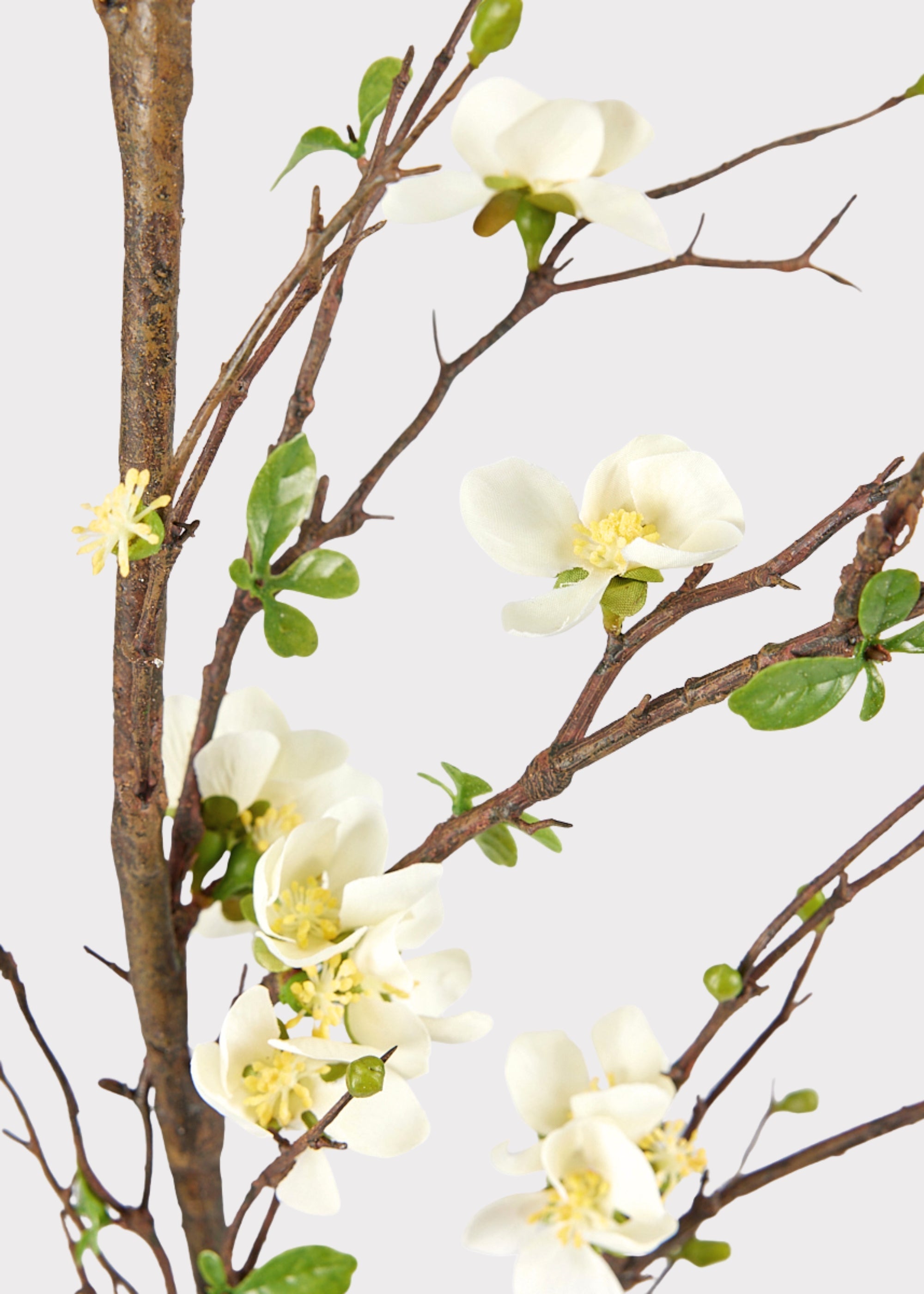 Cream Faux Cherry Blossom Branch for Vase Styling