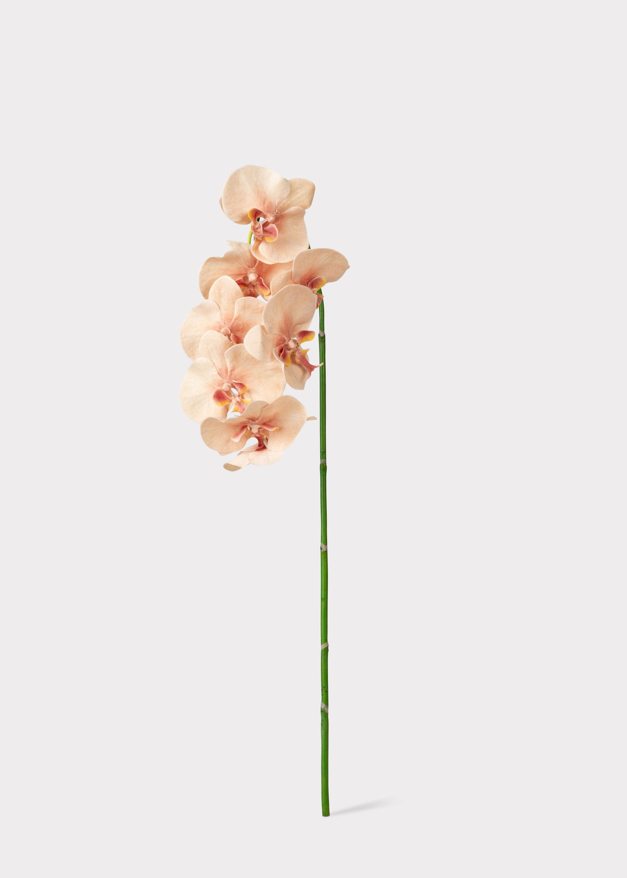 Peach Faux Orchid Stem for Vase and Wedding Styling