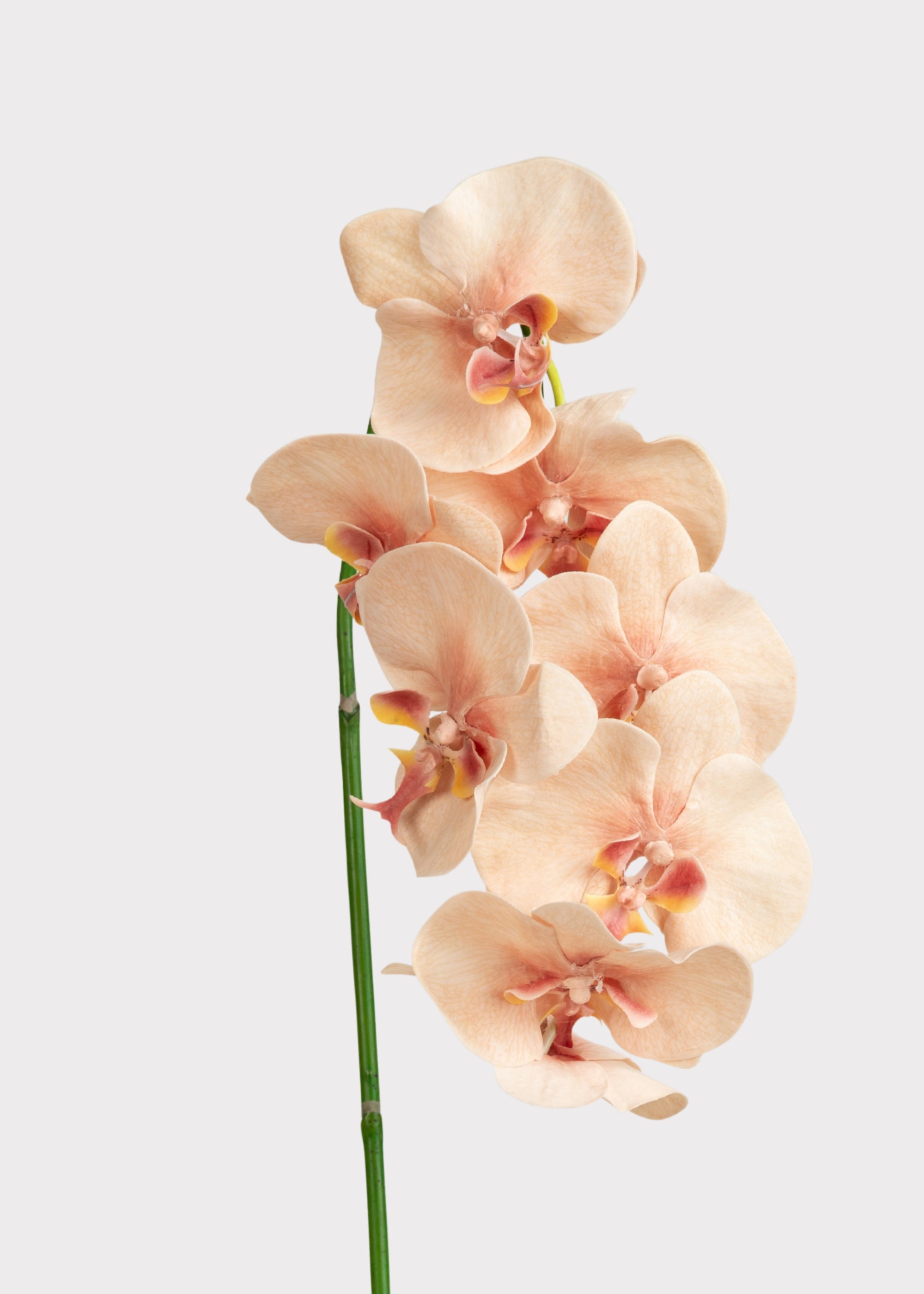 Peach Faux Orchid Stem for Vase and Wedding Styling