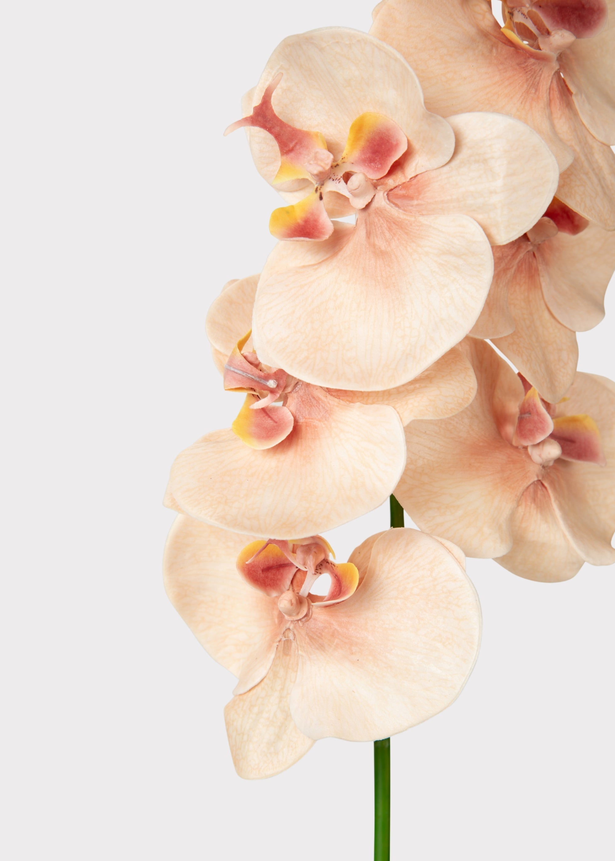 Peach Faux Orchid Stem for Vase and Wedding Styling