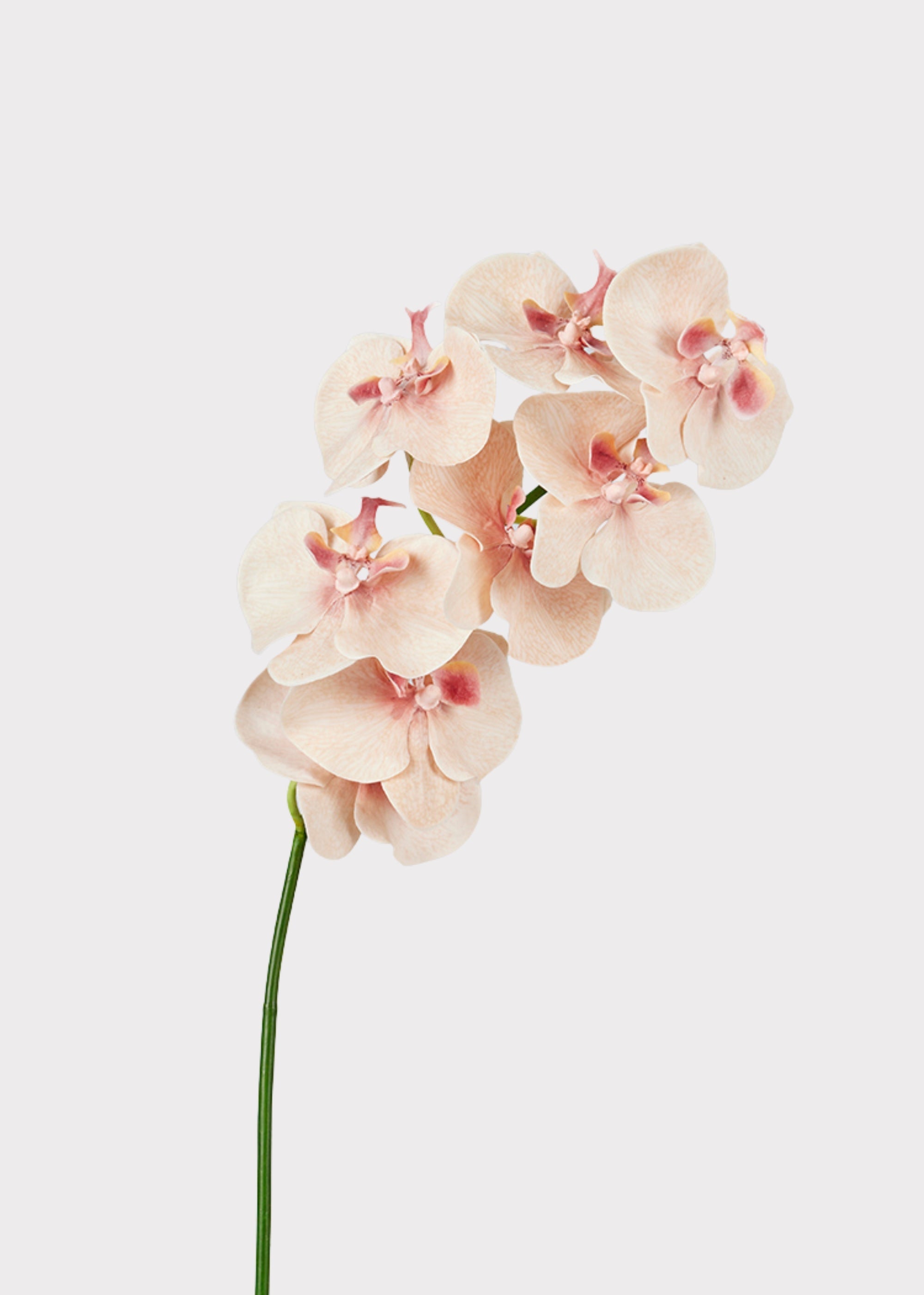Peach Faux Orchid Stem for Vase and Wedding Styling