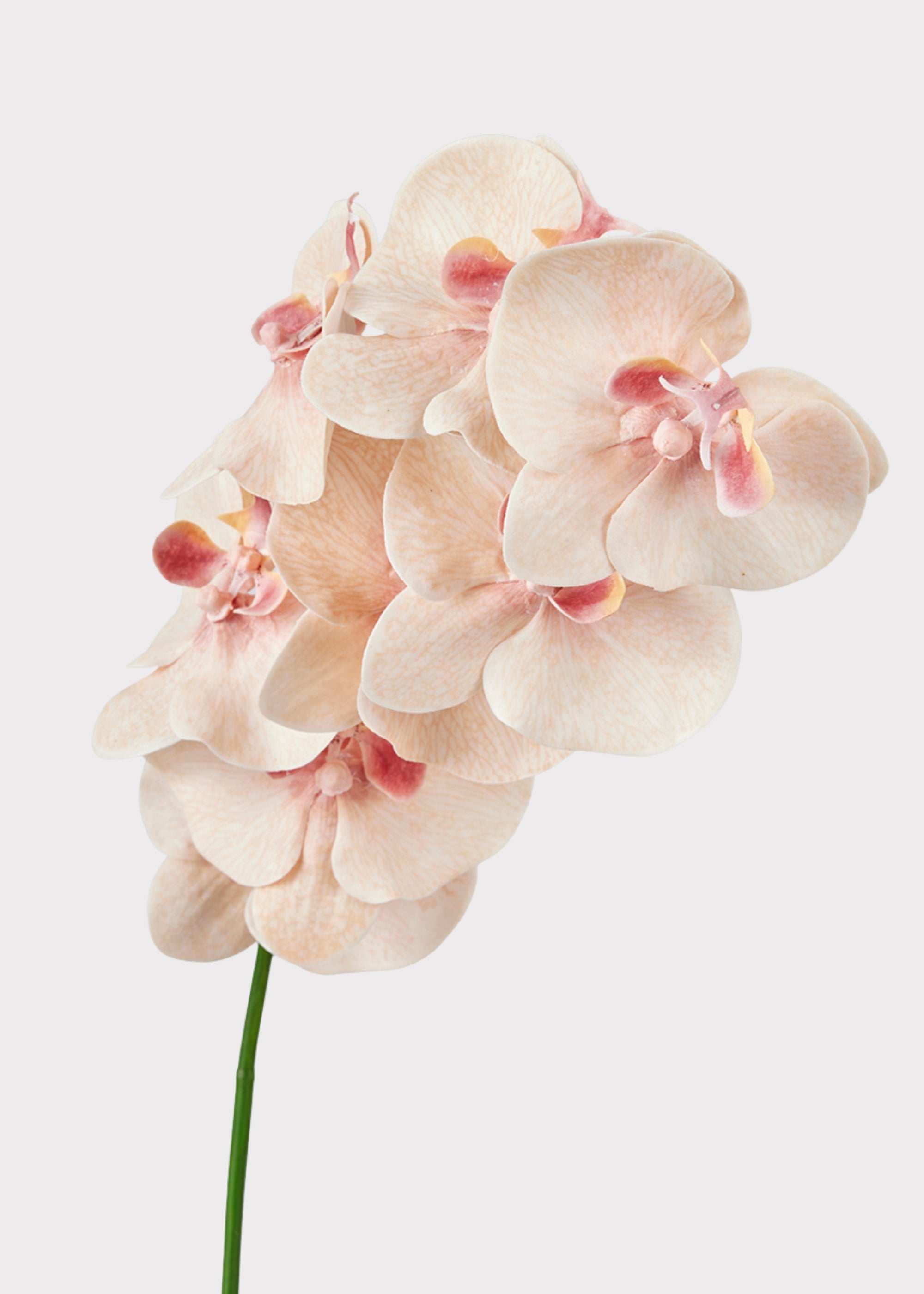 Peach Faux Orchid Stem for Vase and Wedding Styling
