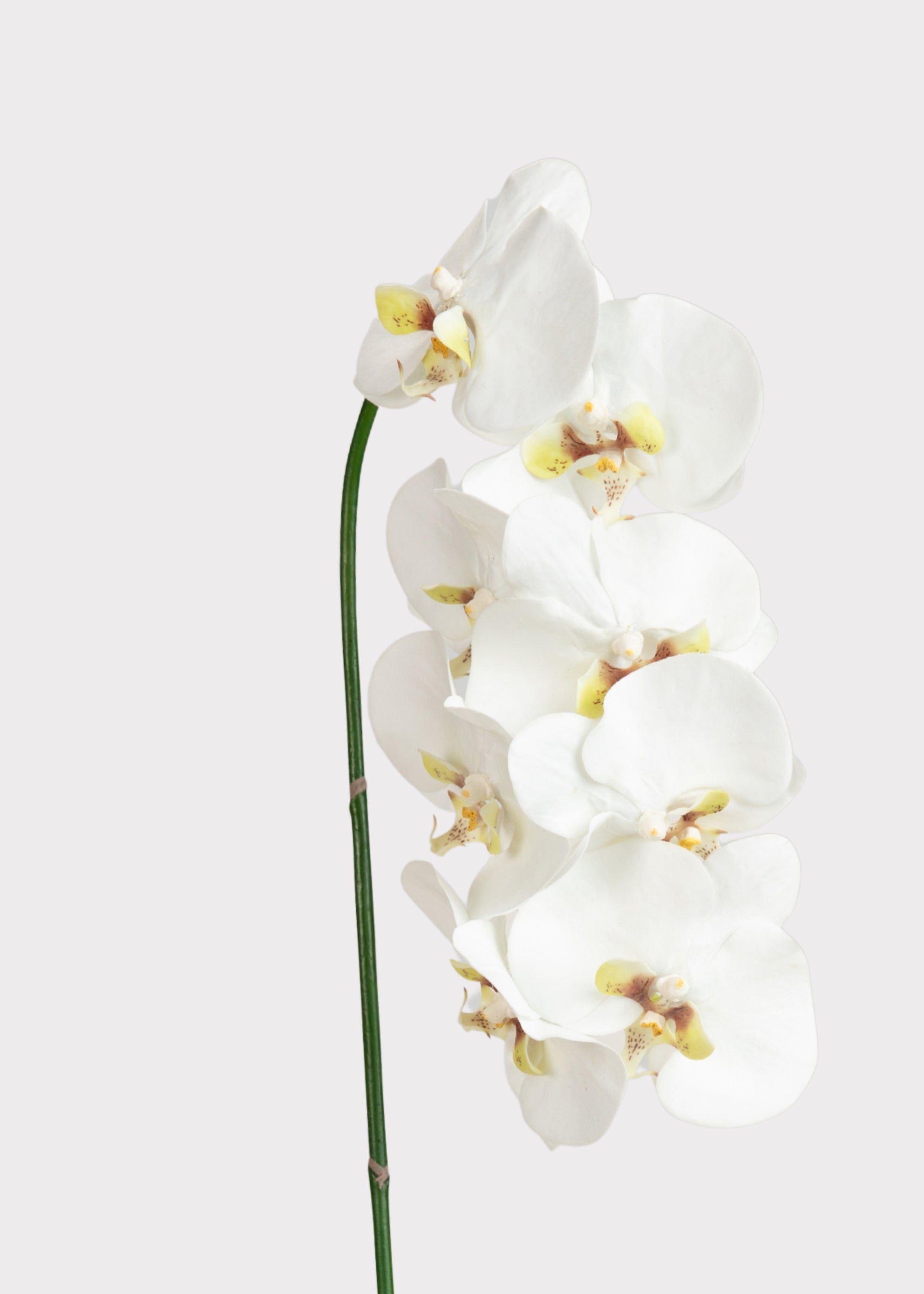 White Faux Orchid Stem for Vase and Wedding Styling