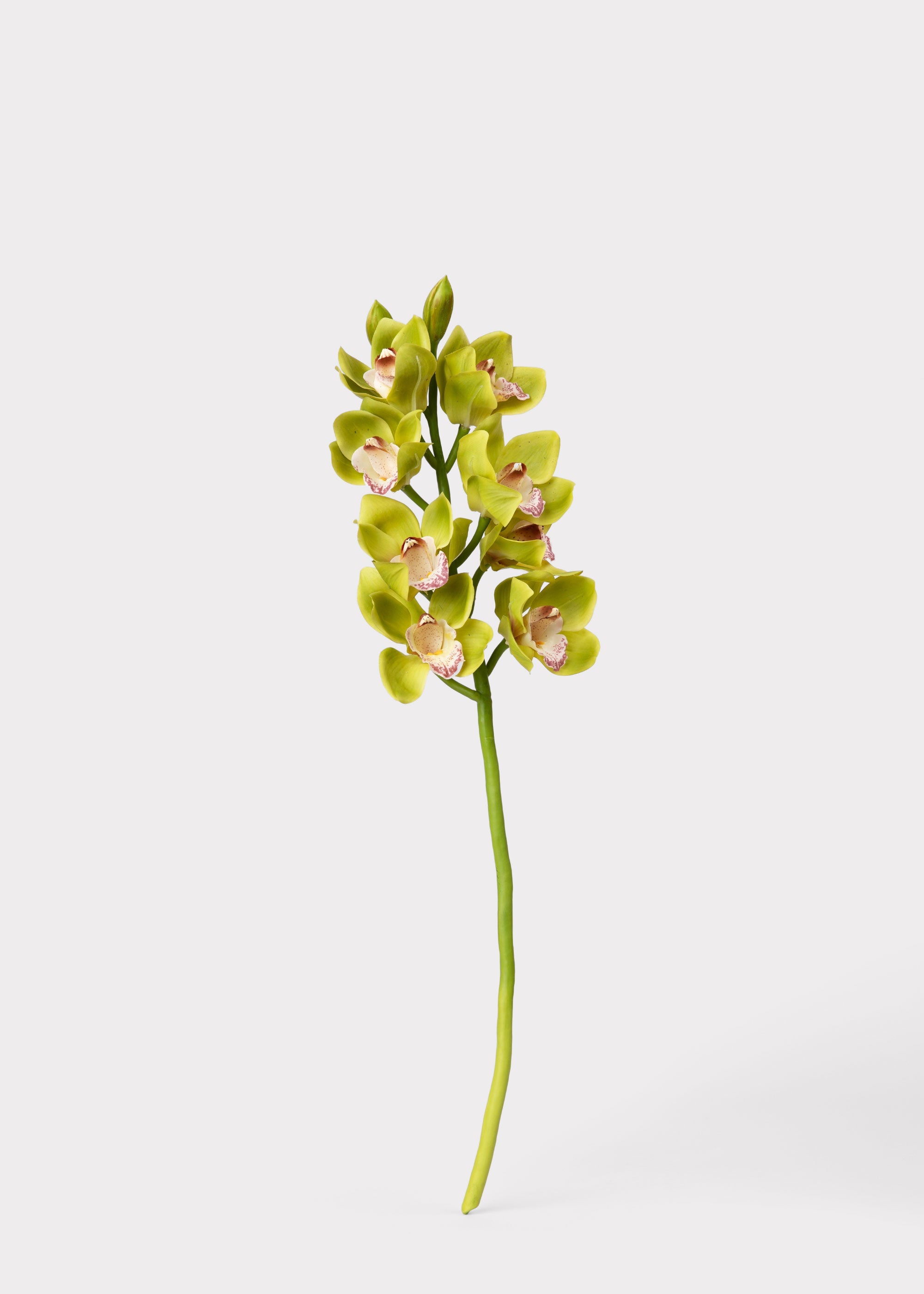 Burgundy Faux Orchid Stem for Vase and Wedding Styling