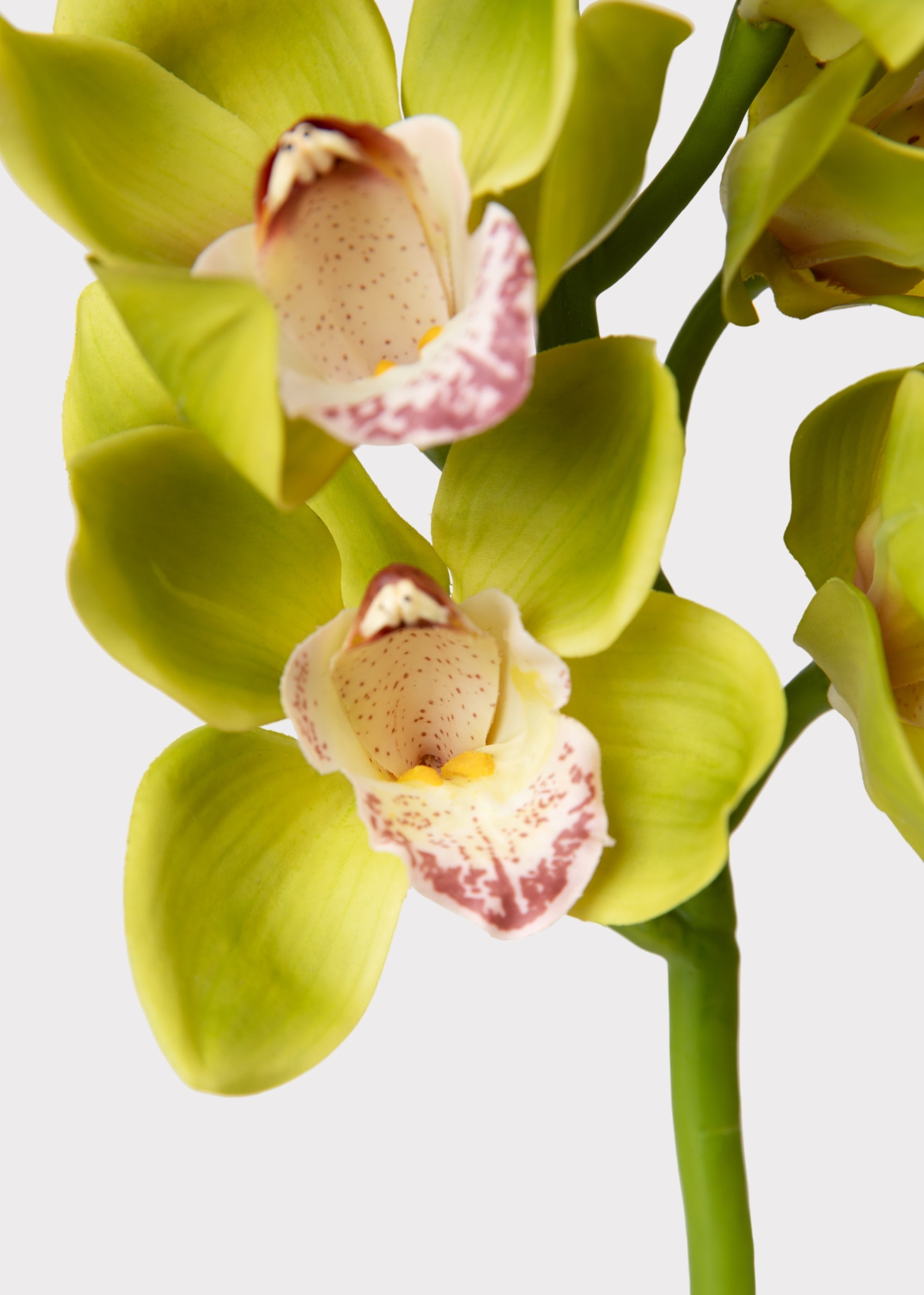 Burgundy Faux Orchid Stem for Vase and Wedding Styling