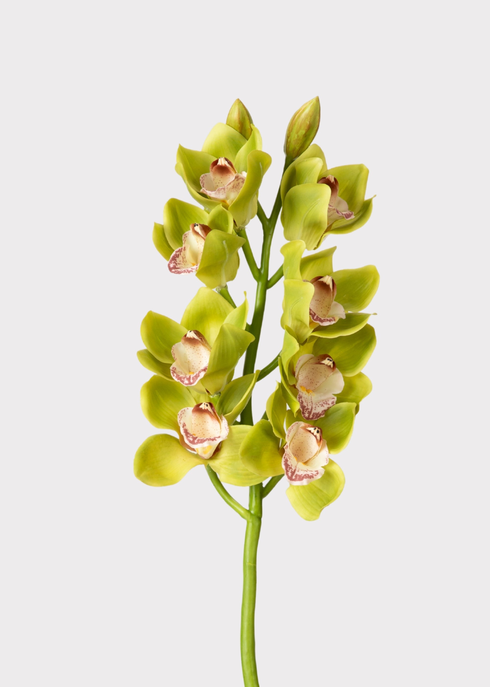 Burgundy Faux Orchid Stem for Vase and Wedding Styling