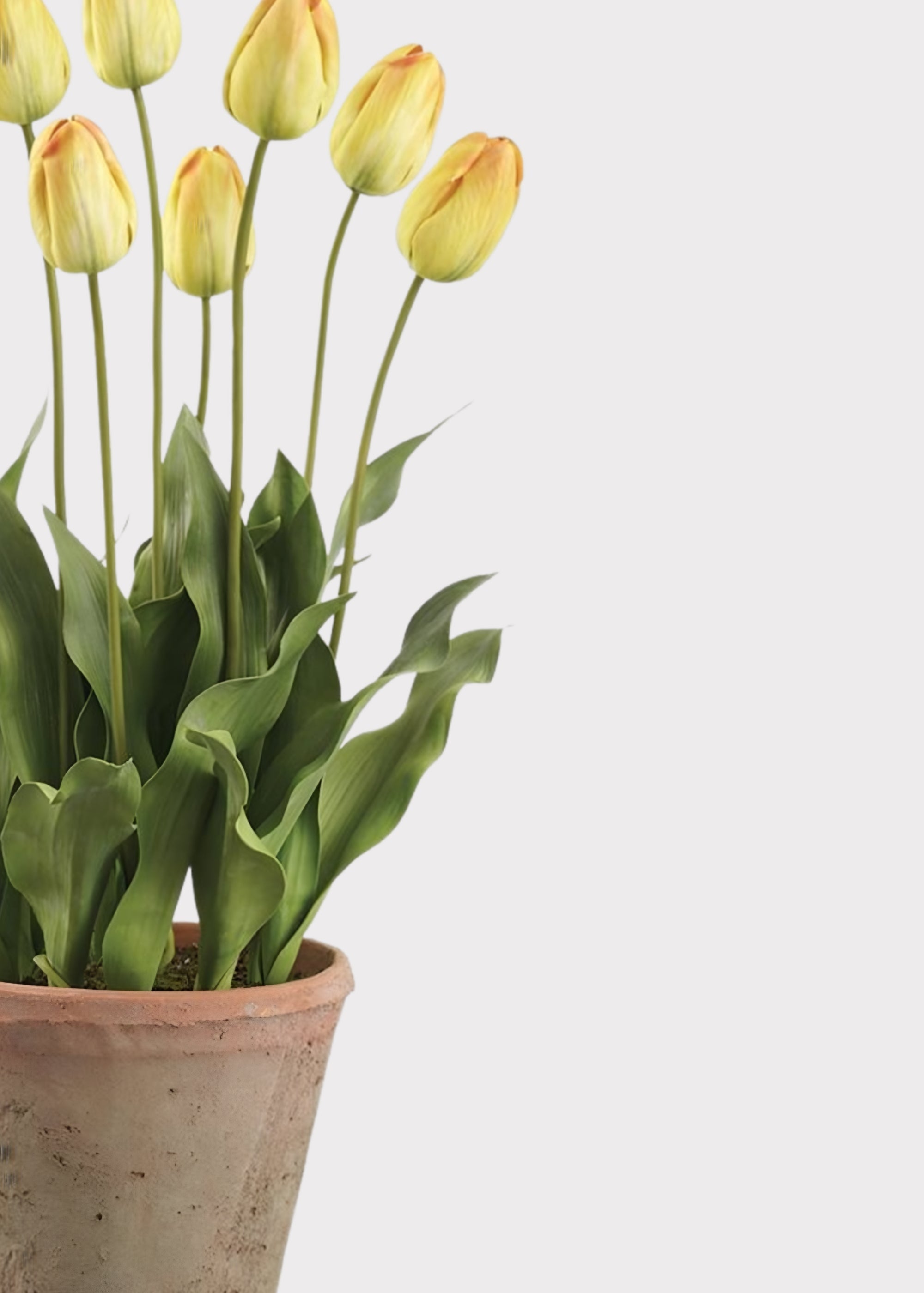 Yellow Faux Tulip Arrangement for Home Decor