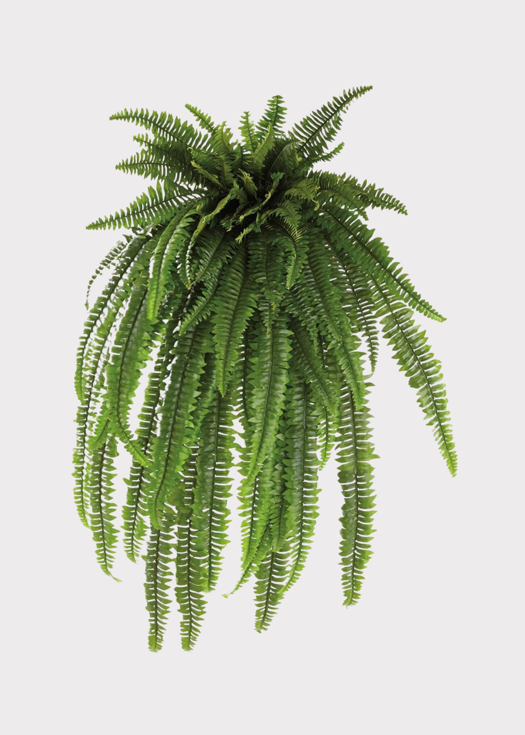 Faux Fern Bush for Vase Styling