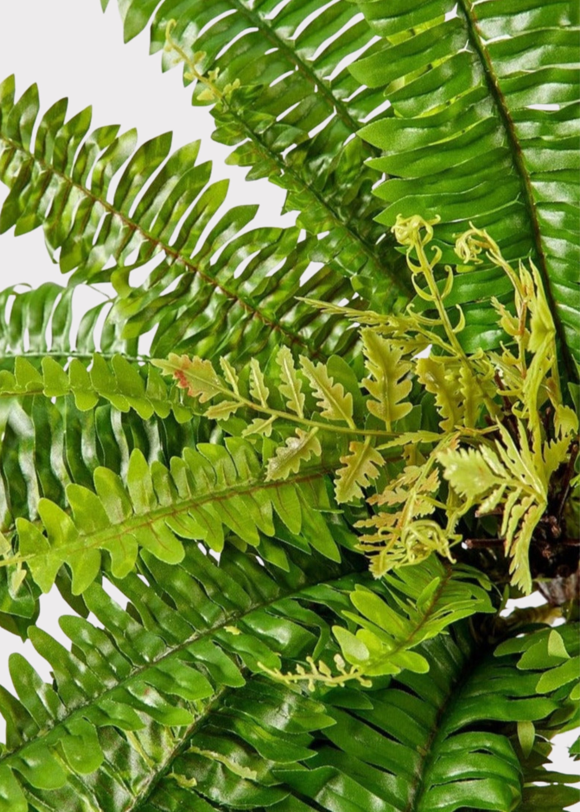 Faux Fern Stem for Vase Styling