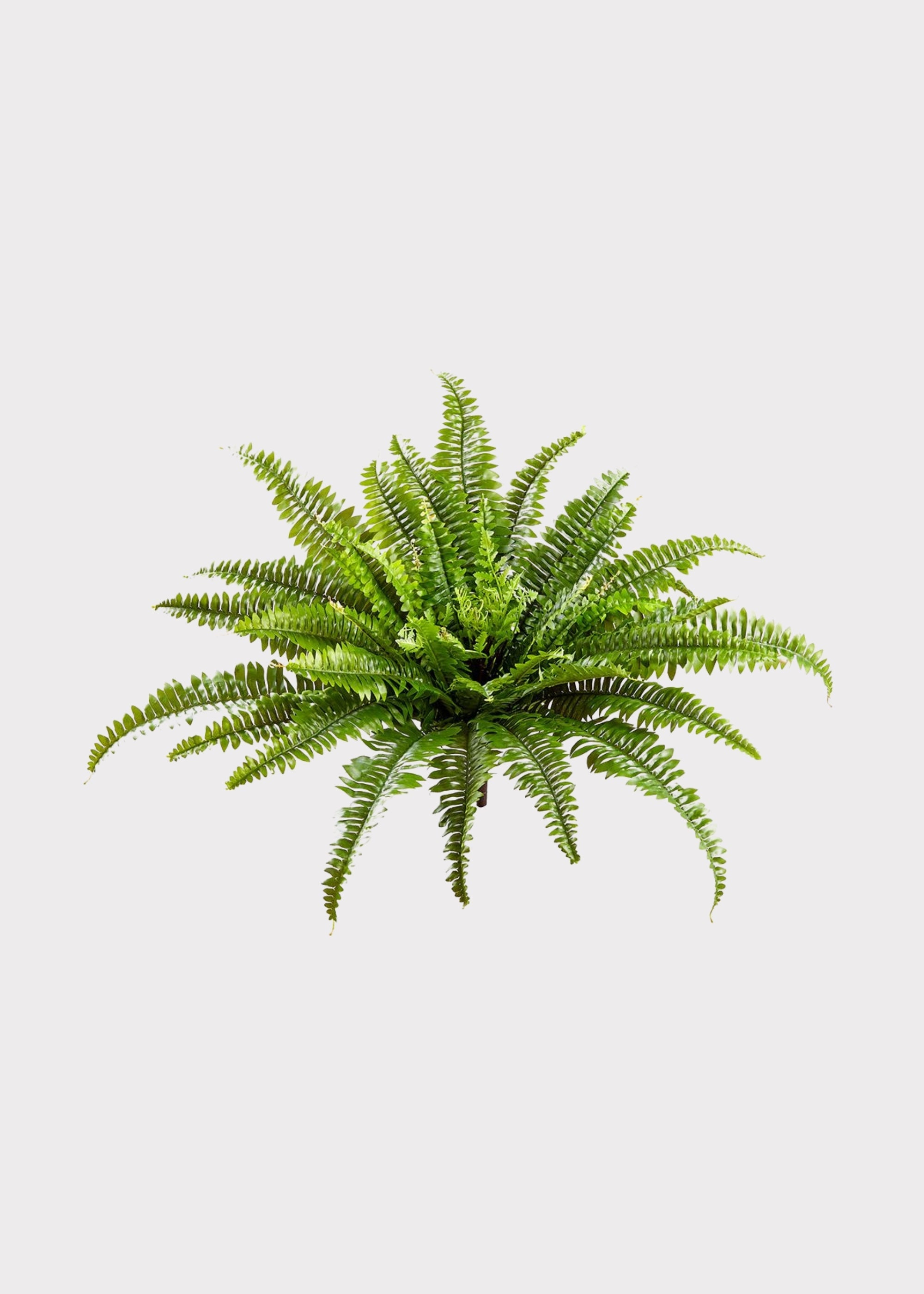 Faux Fern Stem for Vase Styling