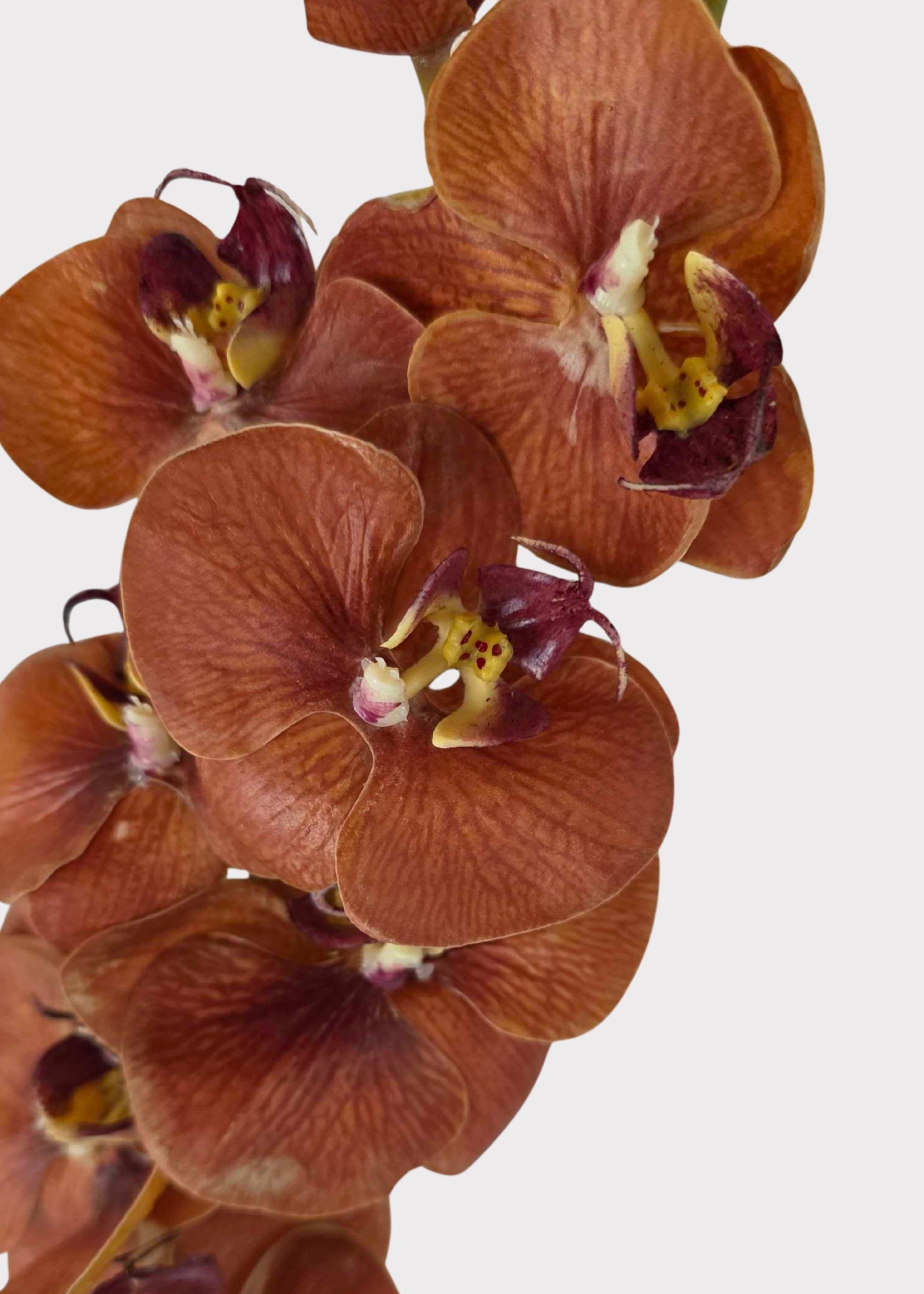 Orange Real Touch Orchid Stem for Seasonal Vase Styling