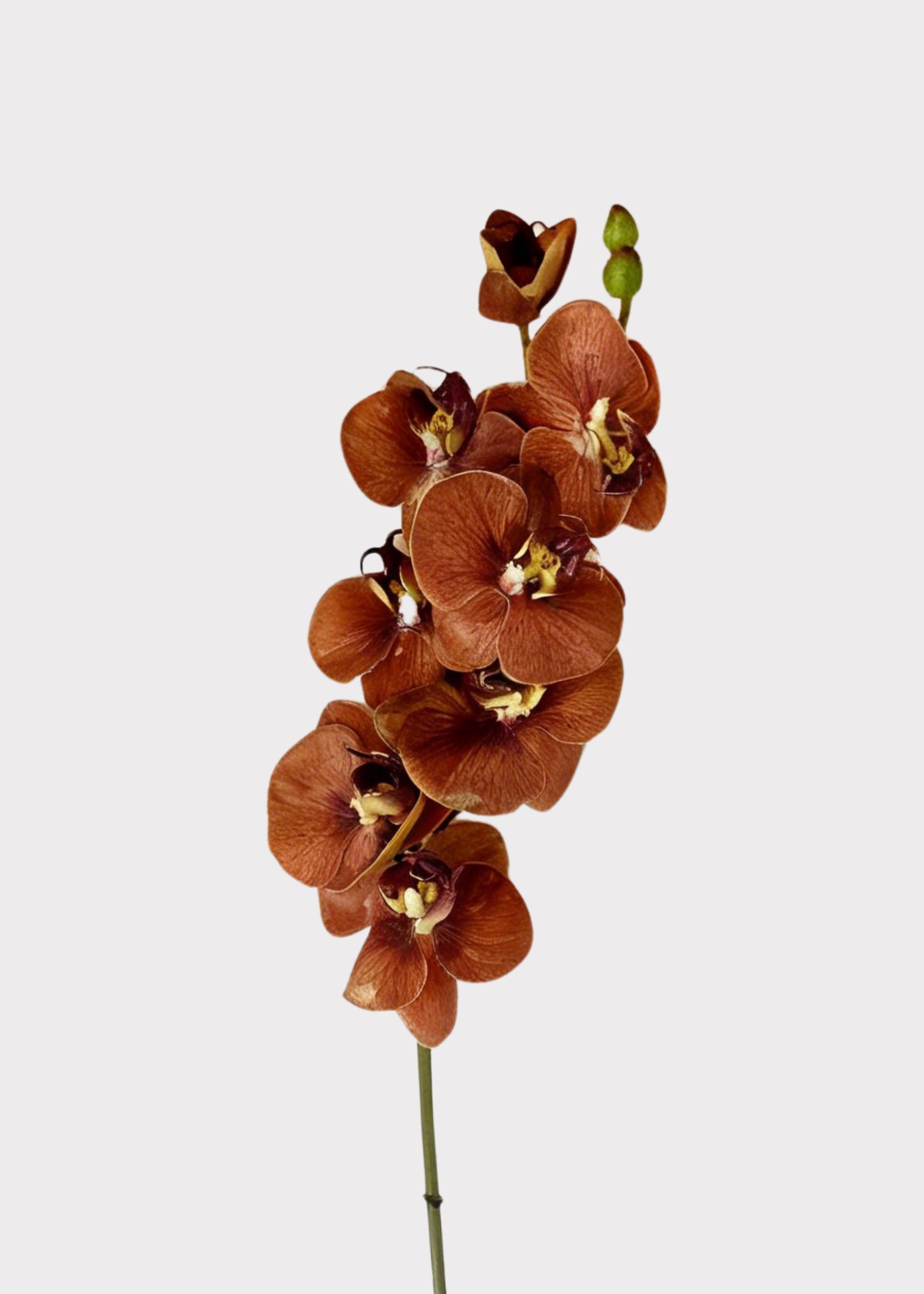 Orange Real Touch Orchid Stem for Seasonal Vase Styling