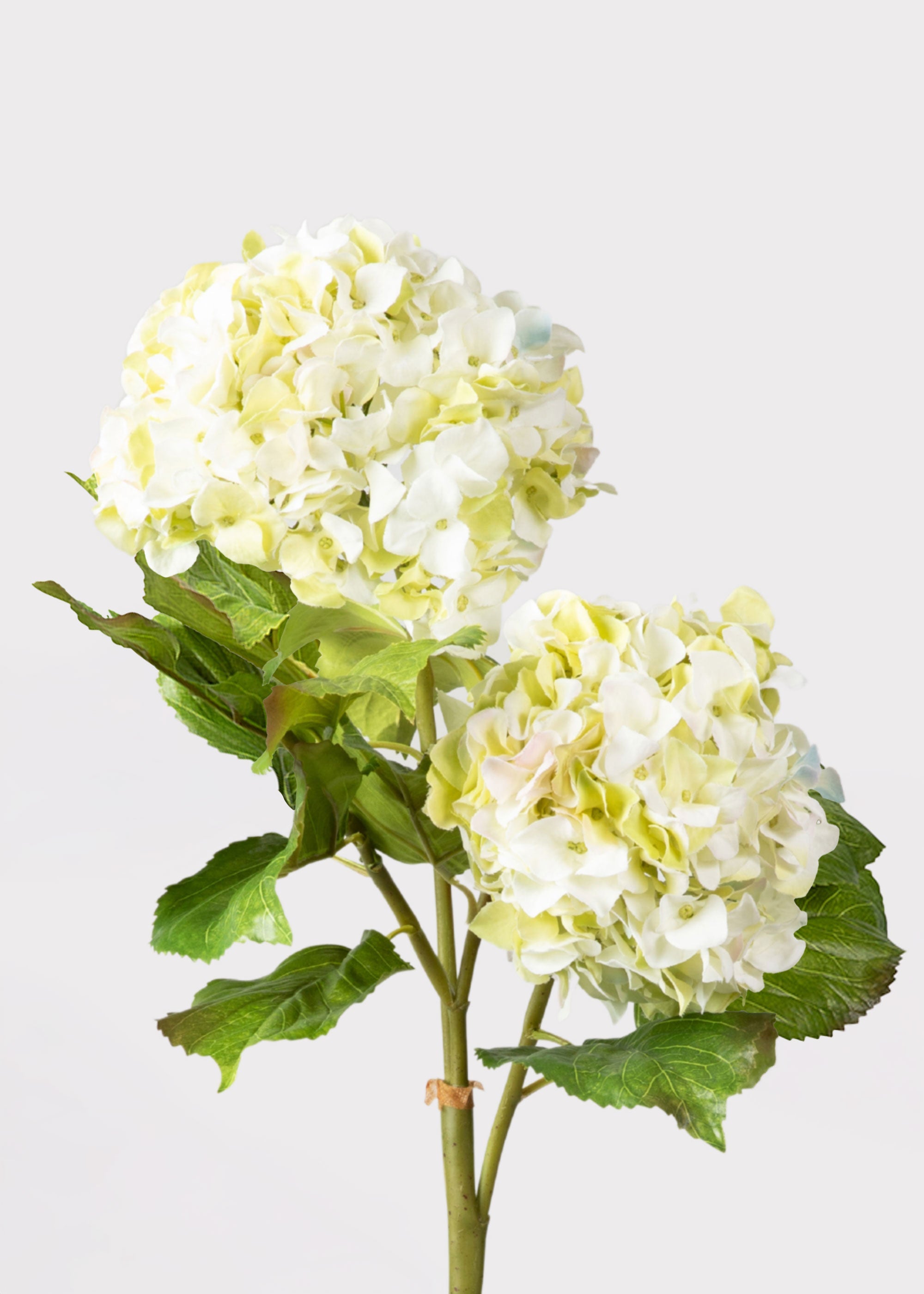 Cream Faux Hydrangea Branch for Vase Styling