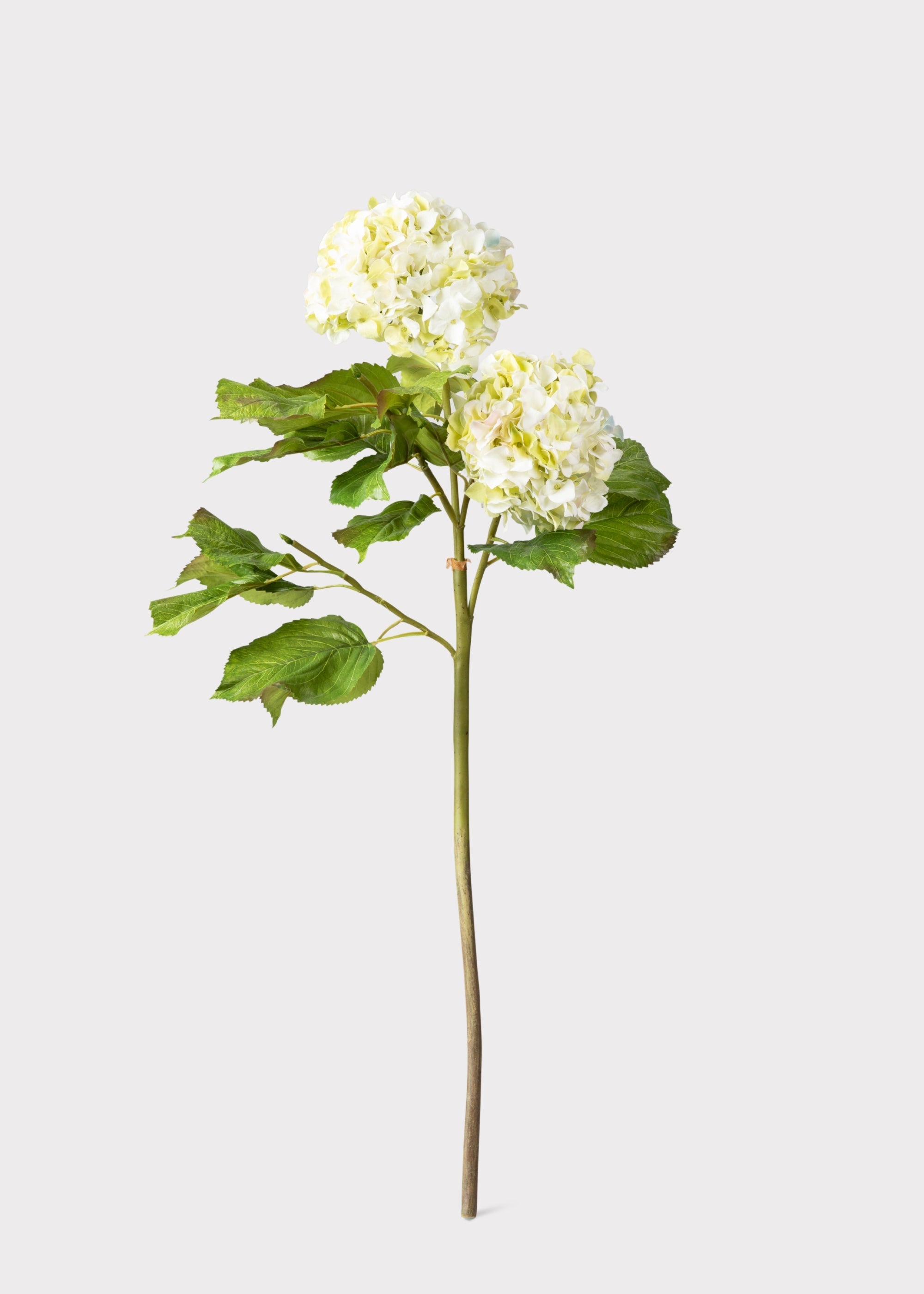 Cream Faux Hydrangea Branch for Vase Styling