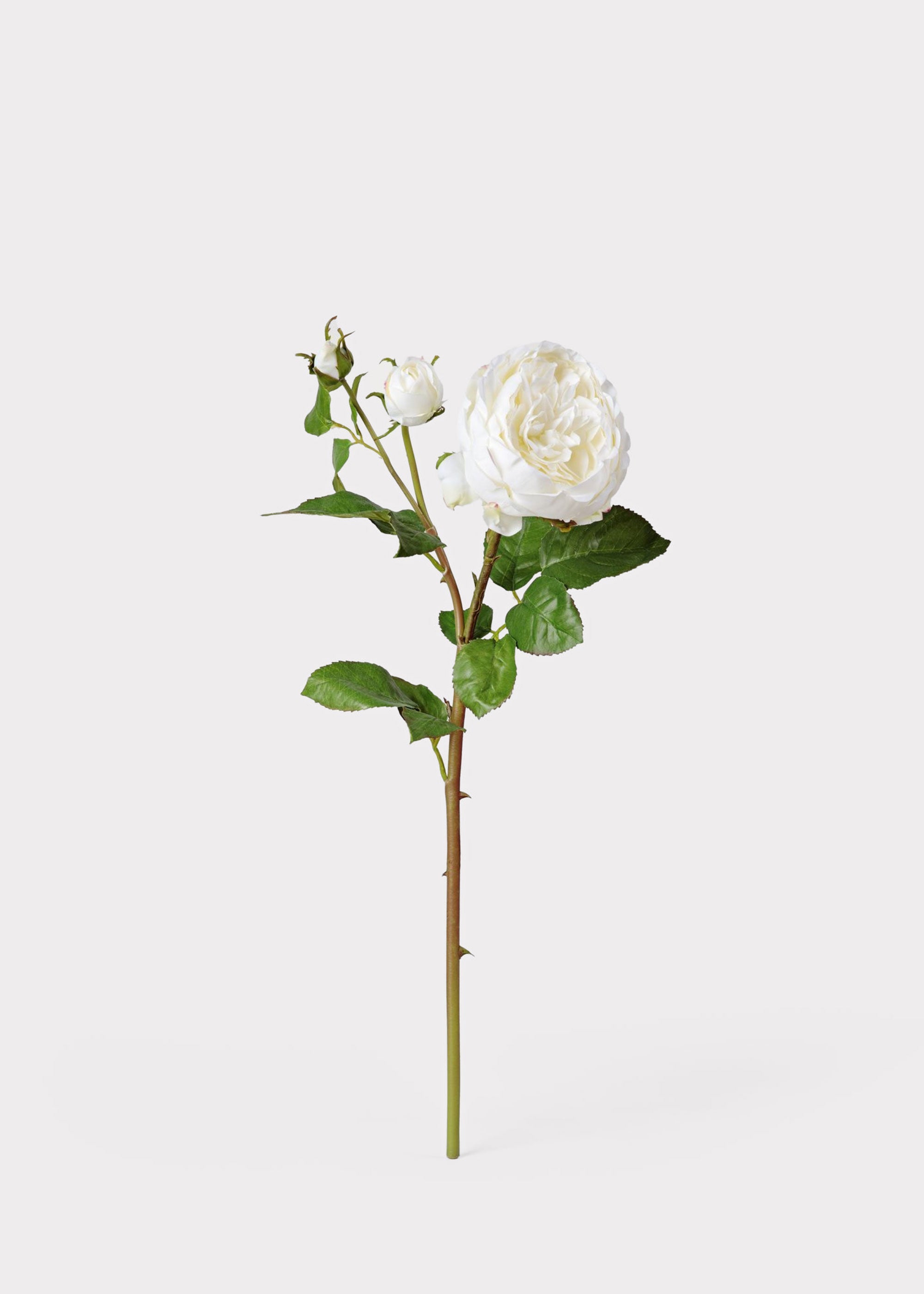 Real Touch Rose Stem for Vase Styling