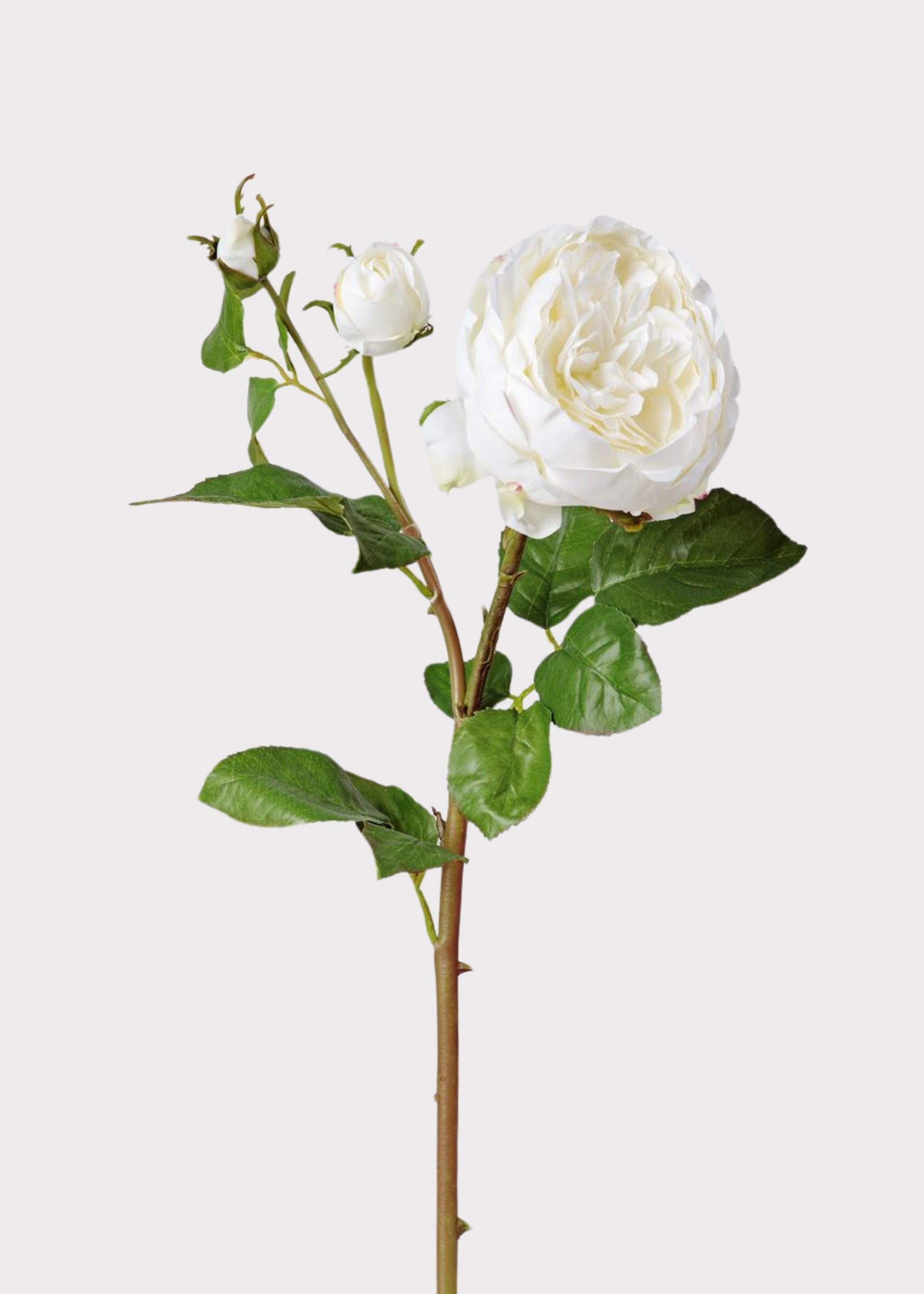 Real Touch Rose Stem for Vase Styling