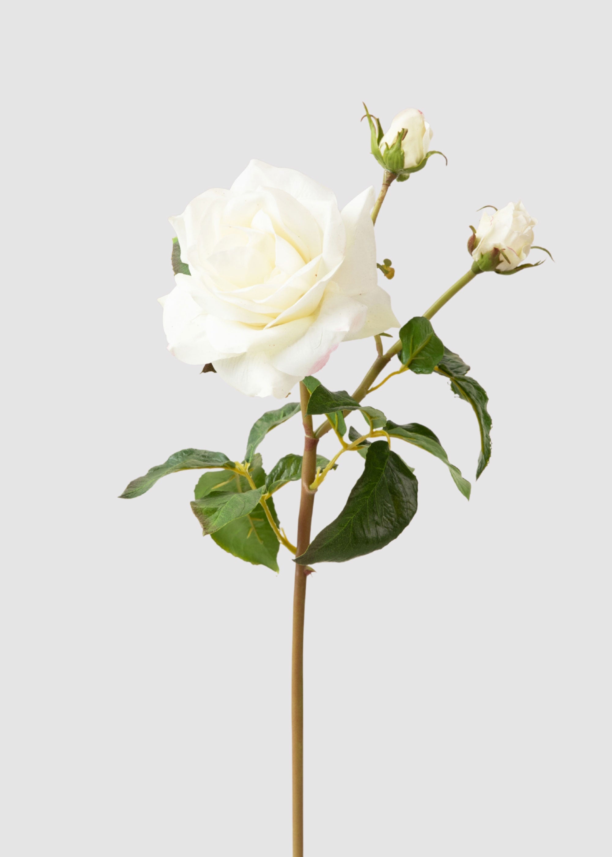 White Real Touch Rose Stem for Vase and Wedding Styling