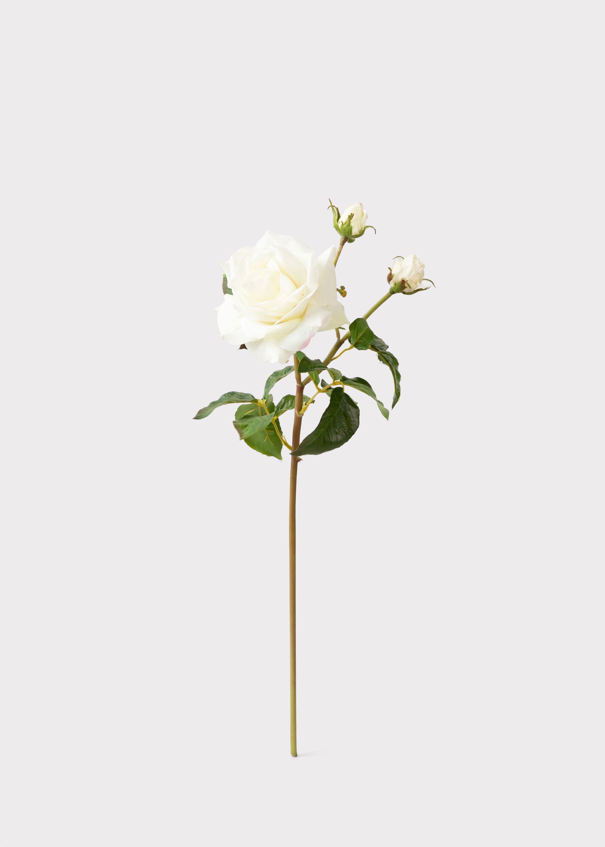 White Real Touch Rose Stem for Vase and Wedding Styling