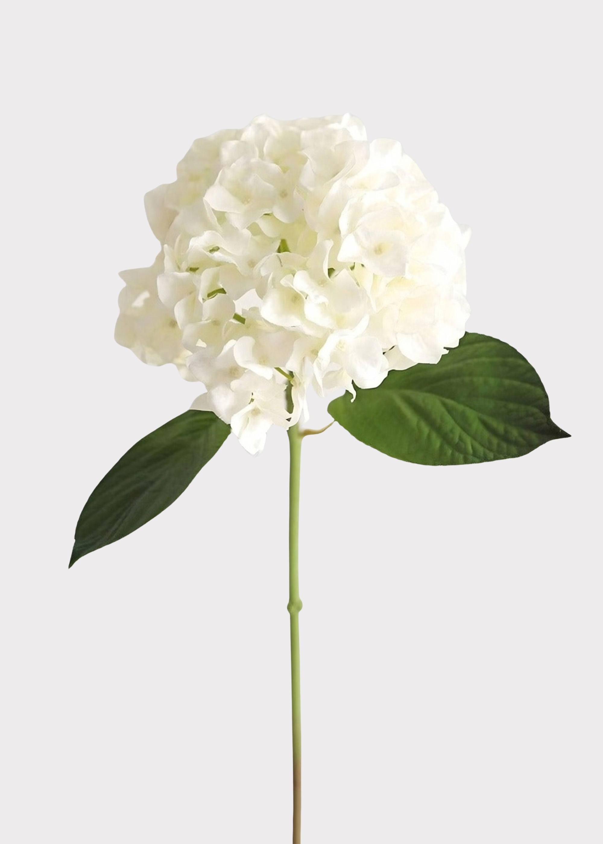 White Real Touch Hydrangea Stem for Vase Styling