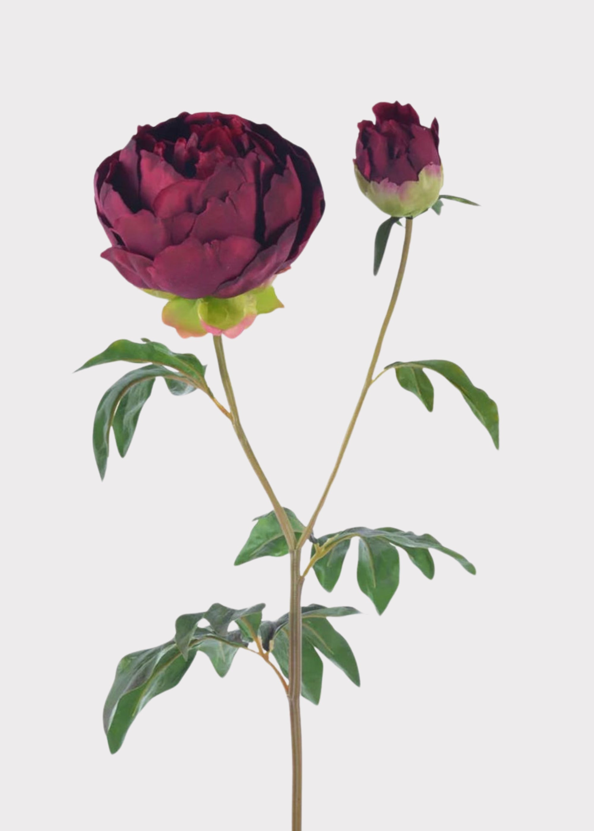 Plum Real Touch Peony Stem for Seasonal Vase Styling