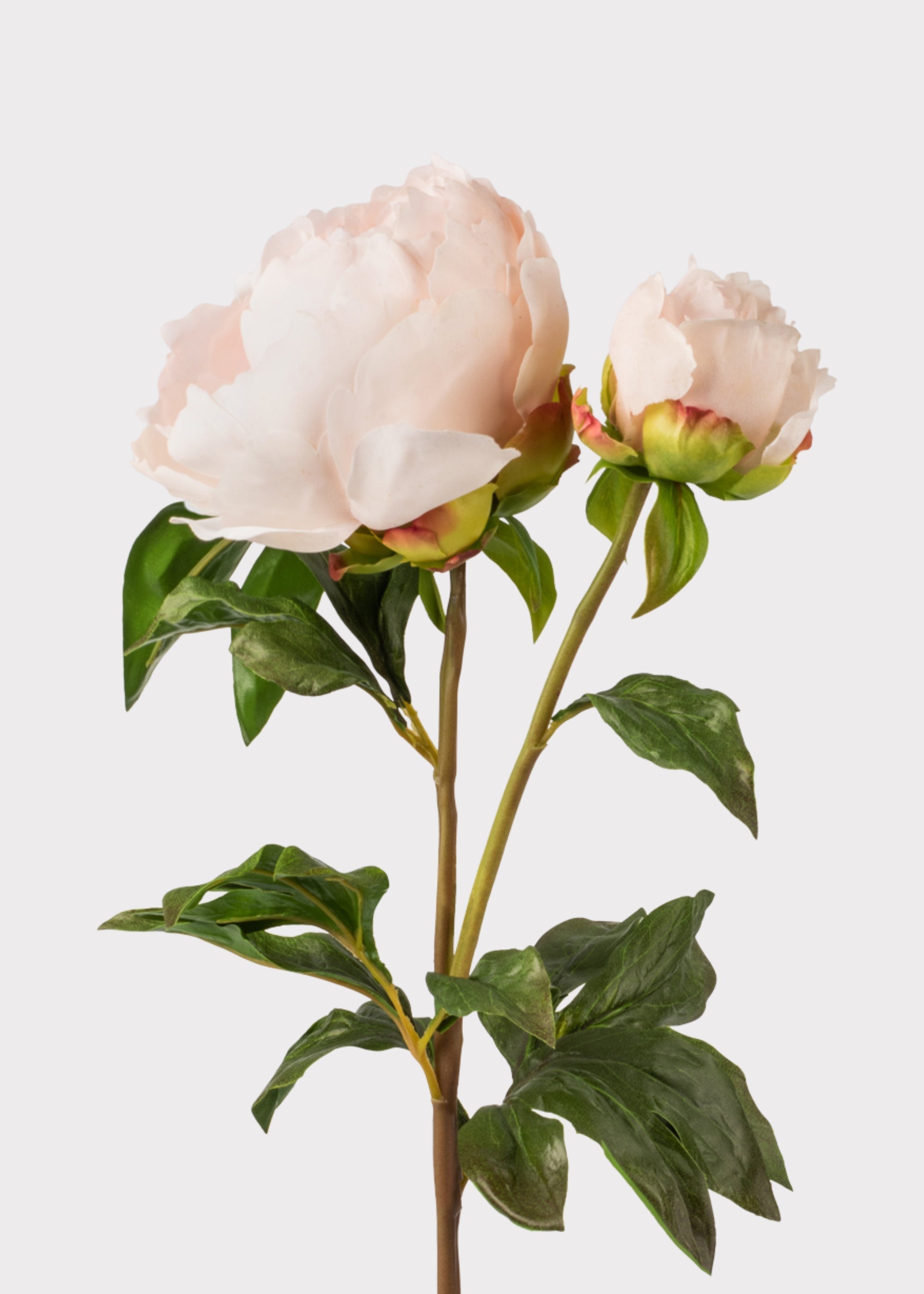 Blush Real Touch Peony Stem for Vase Styling