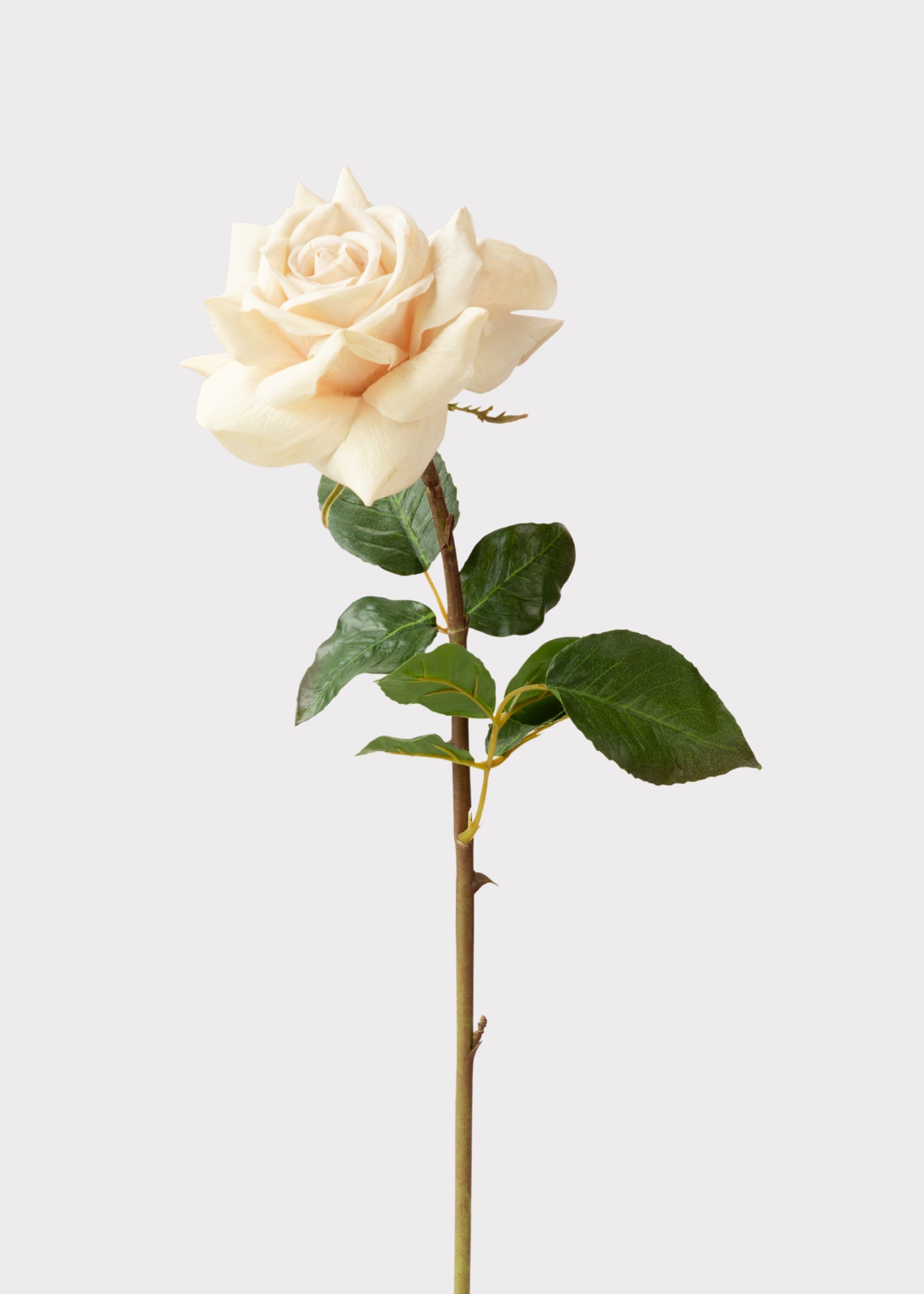 Beige Real Touch Rose Stem for Vase Styling