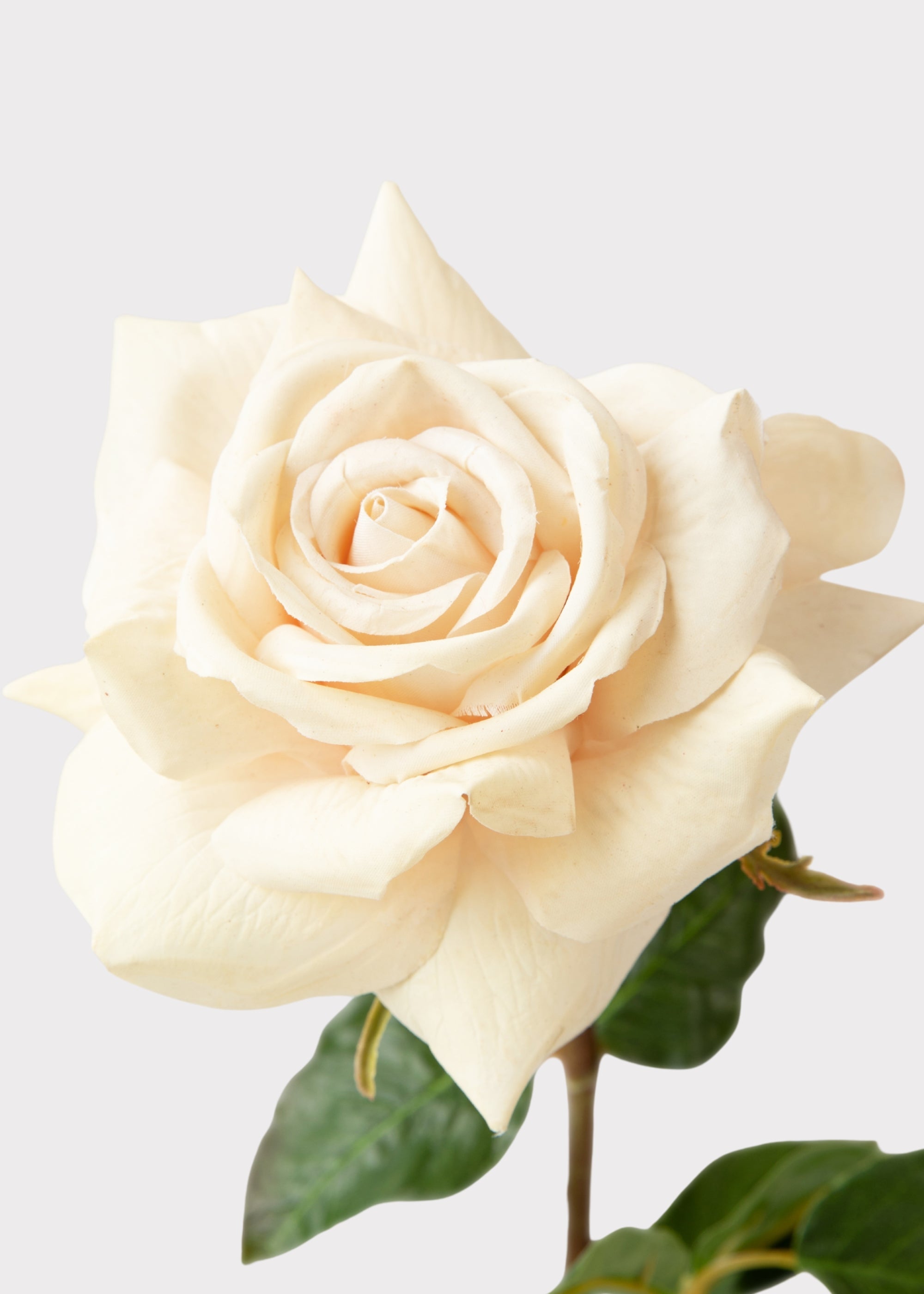 Beige Real Touch Rose Stem for Vase Styling