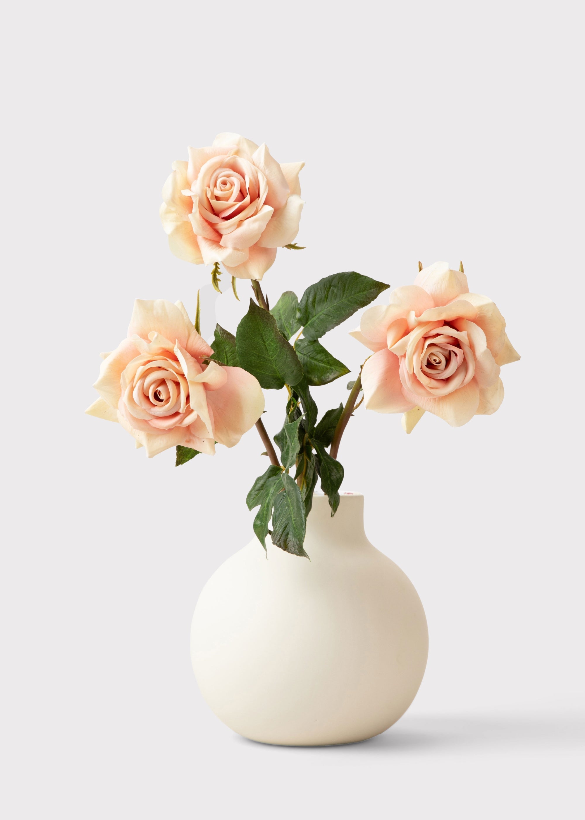 Peach Rose for Home Styling