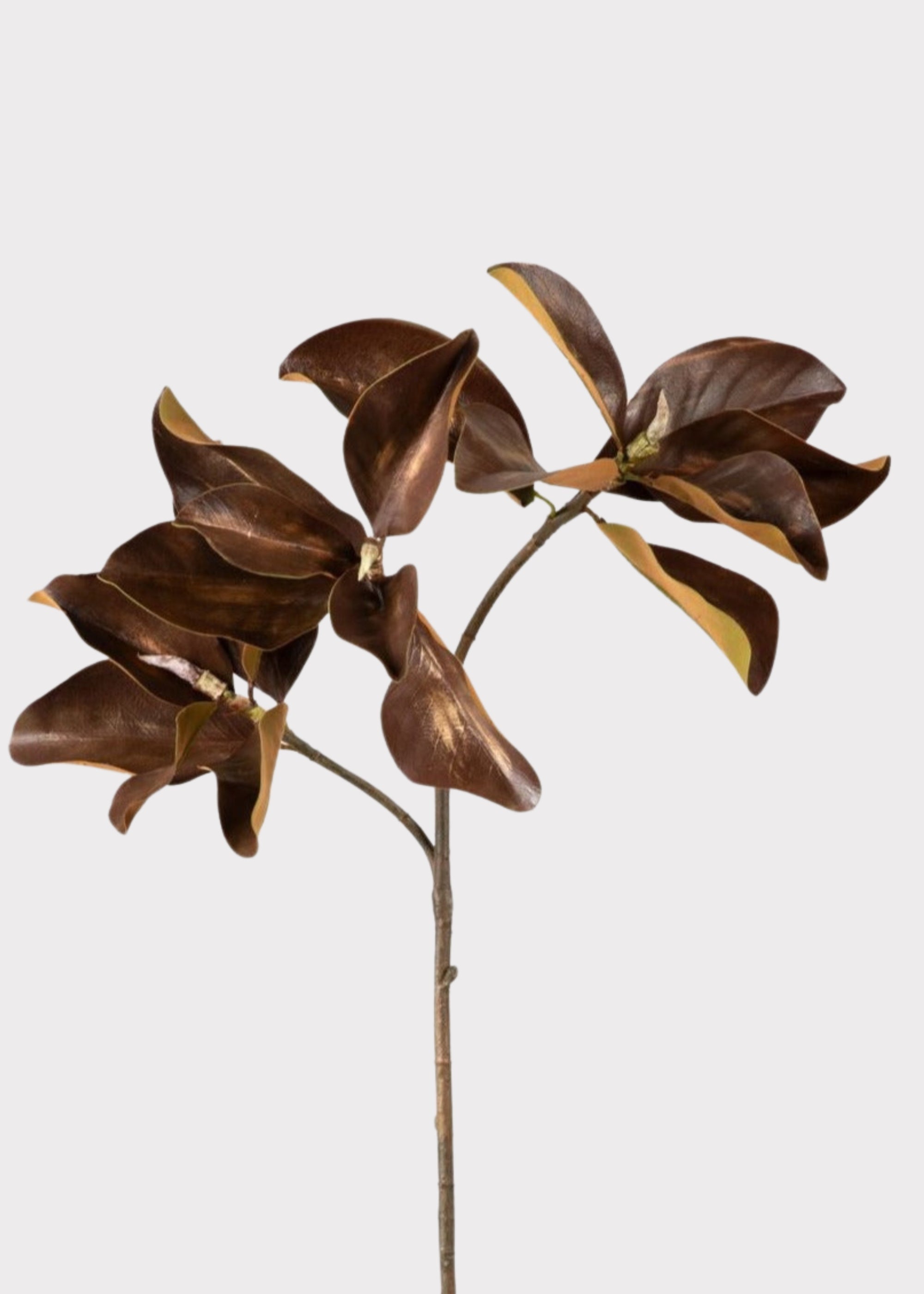 Brown Faux Magnolia Branch for Seasonal Vase Styling
