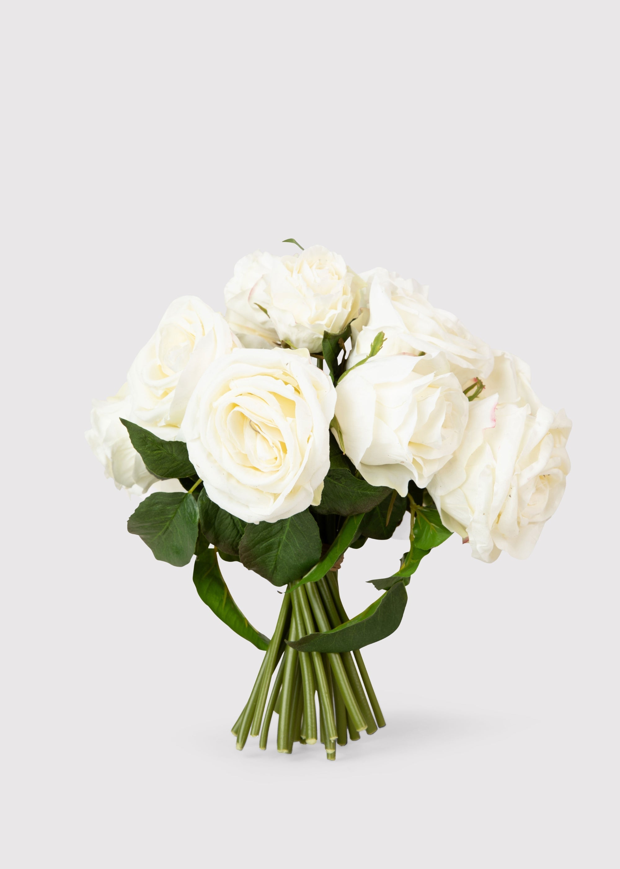 Cream Rose for Home Styling