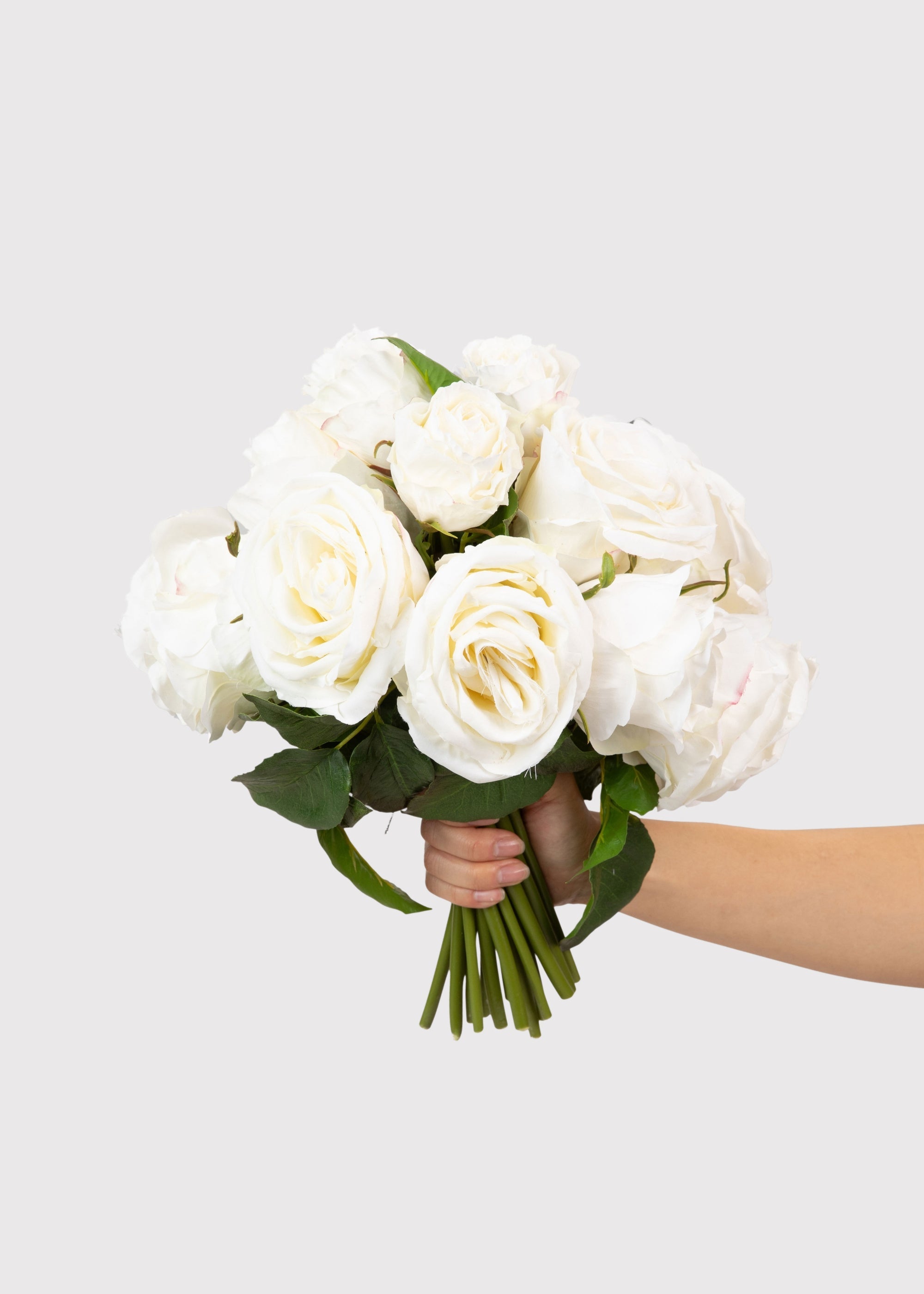 Cream Rose for Home Styling