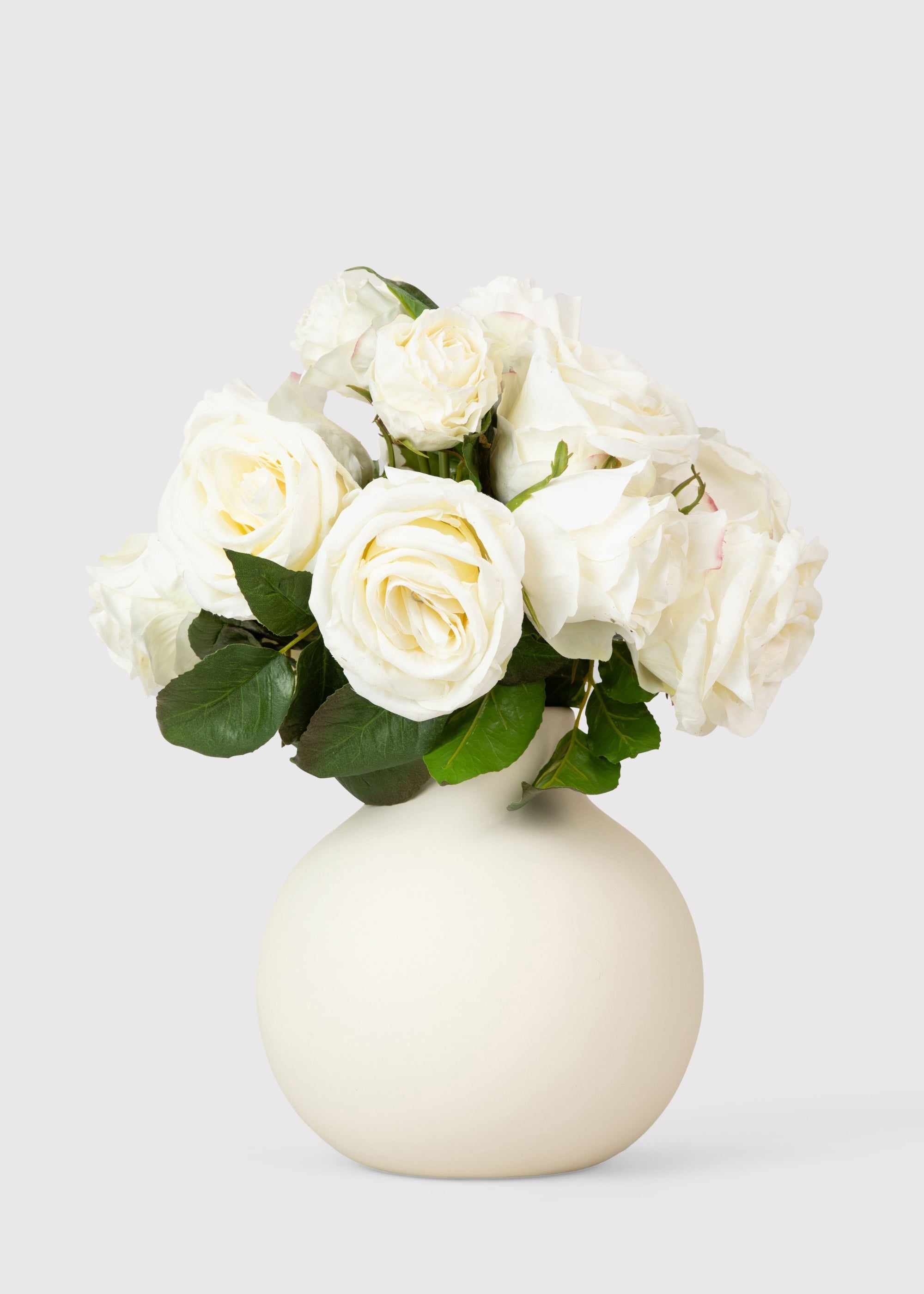 Cream Rose for Home Styling