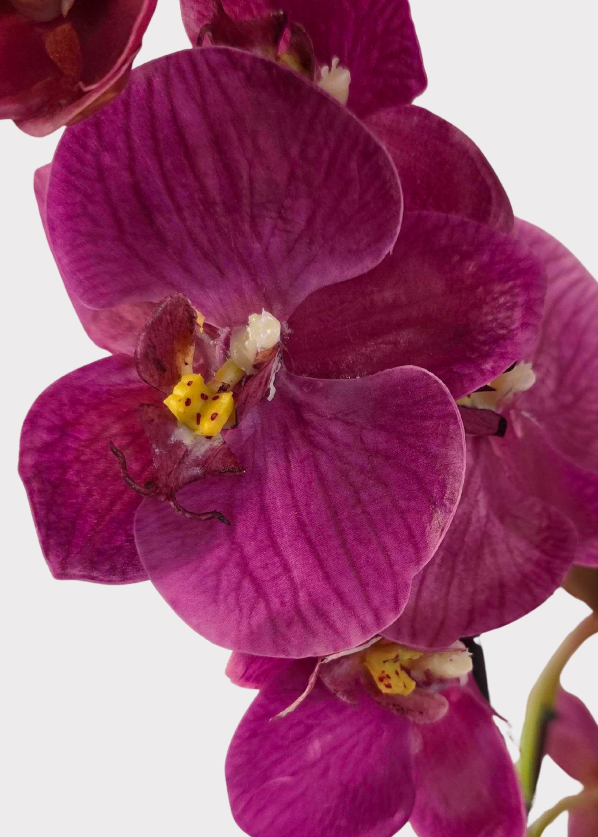 Pink Faux Orchid Plant for Planters and Shelves