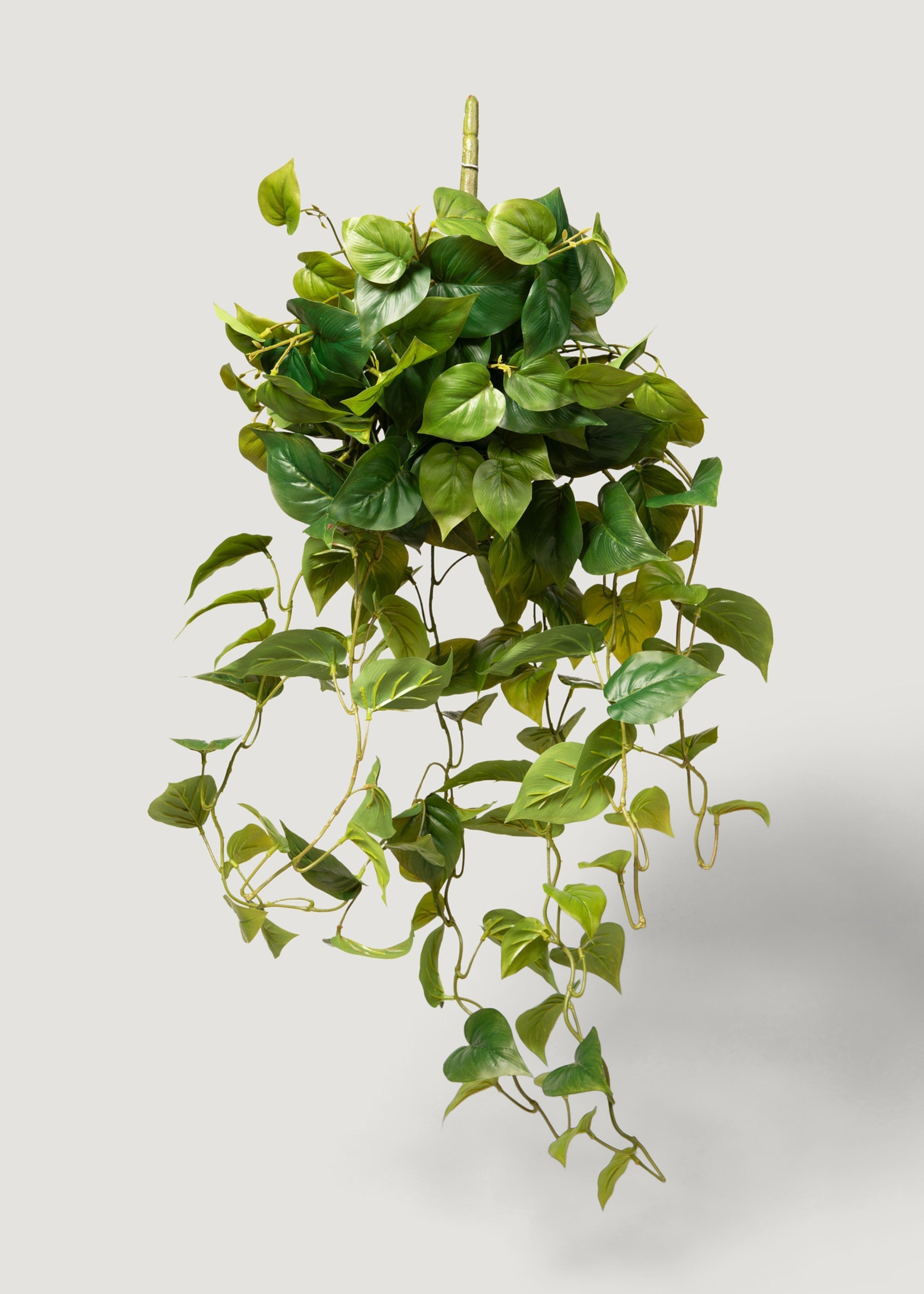 Real Touch Philodendron Hanging Bush for Vase Styling