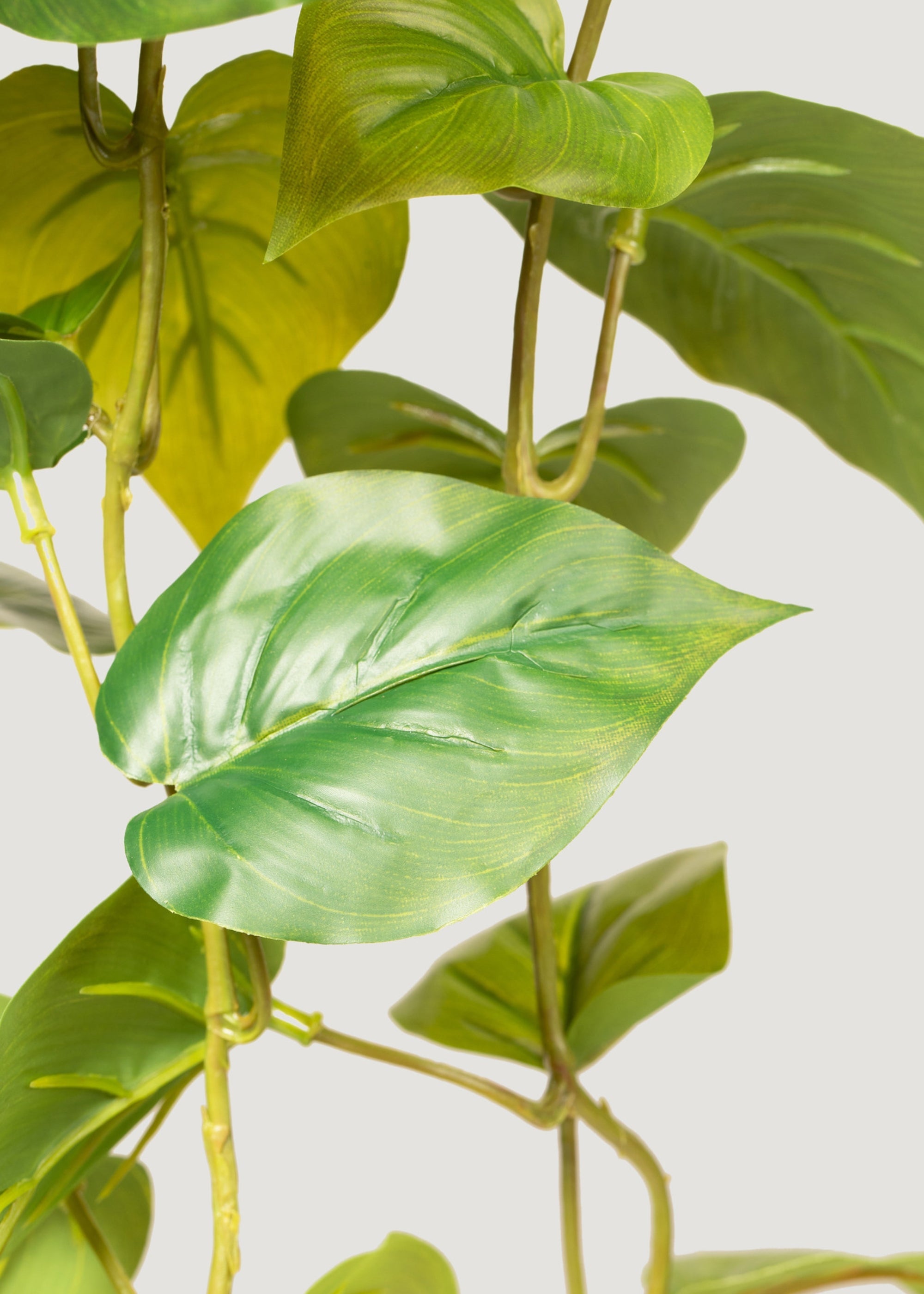 Real Touch Philodendron Hanging Bush for Vase Styling