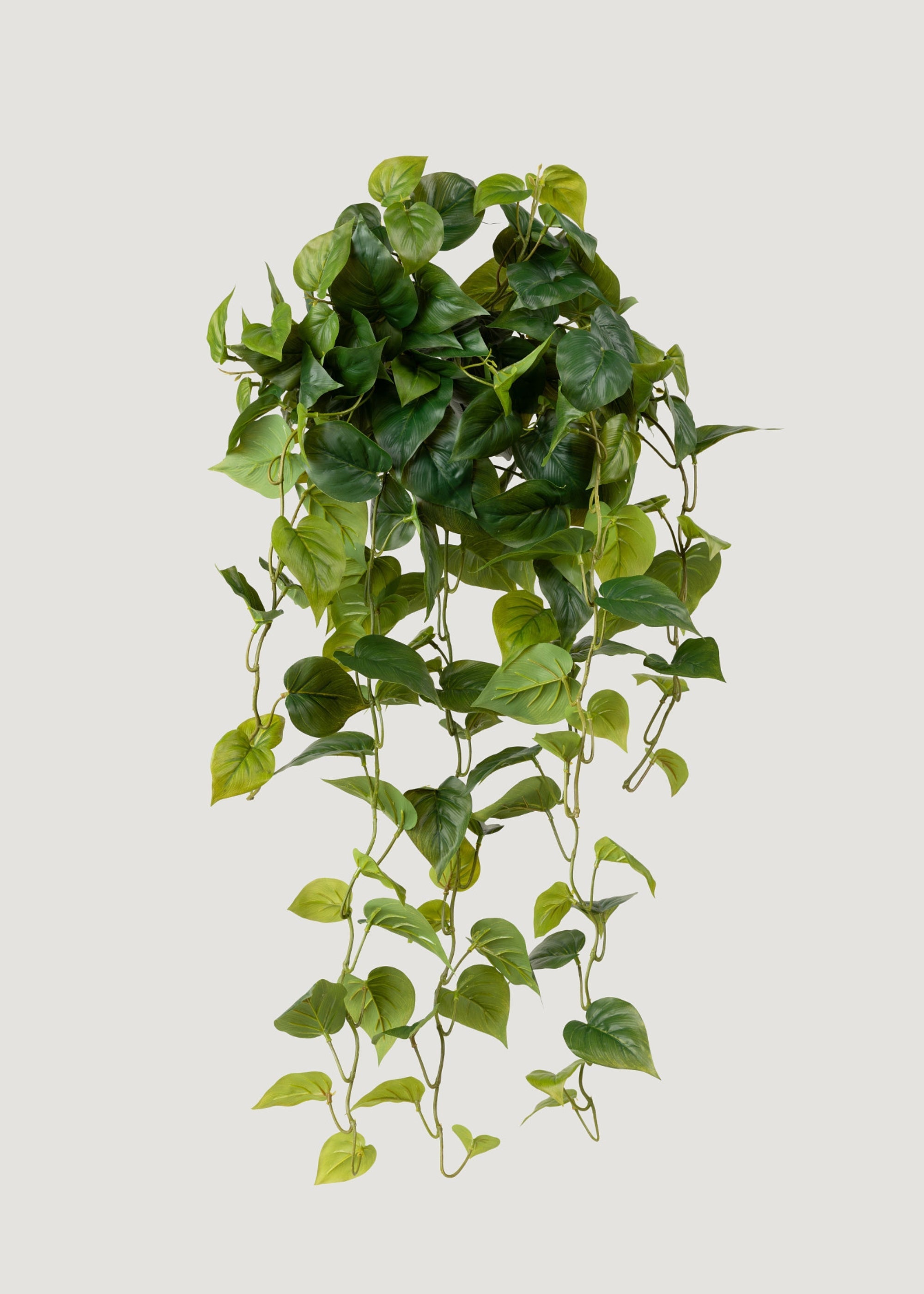 Real Touch Philodendron Hanging Bush for Vase Styling