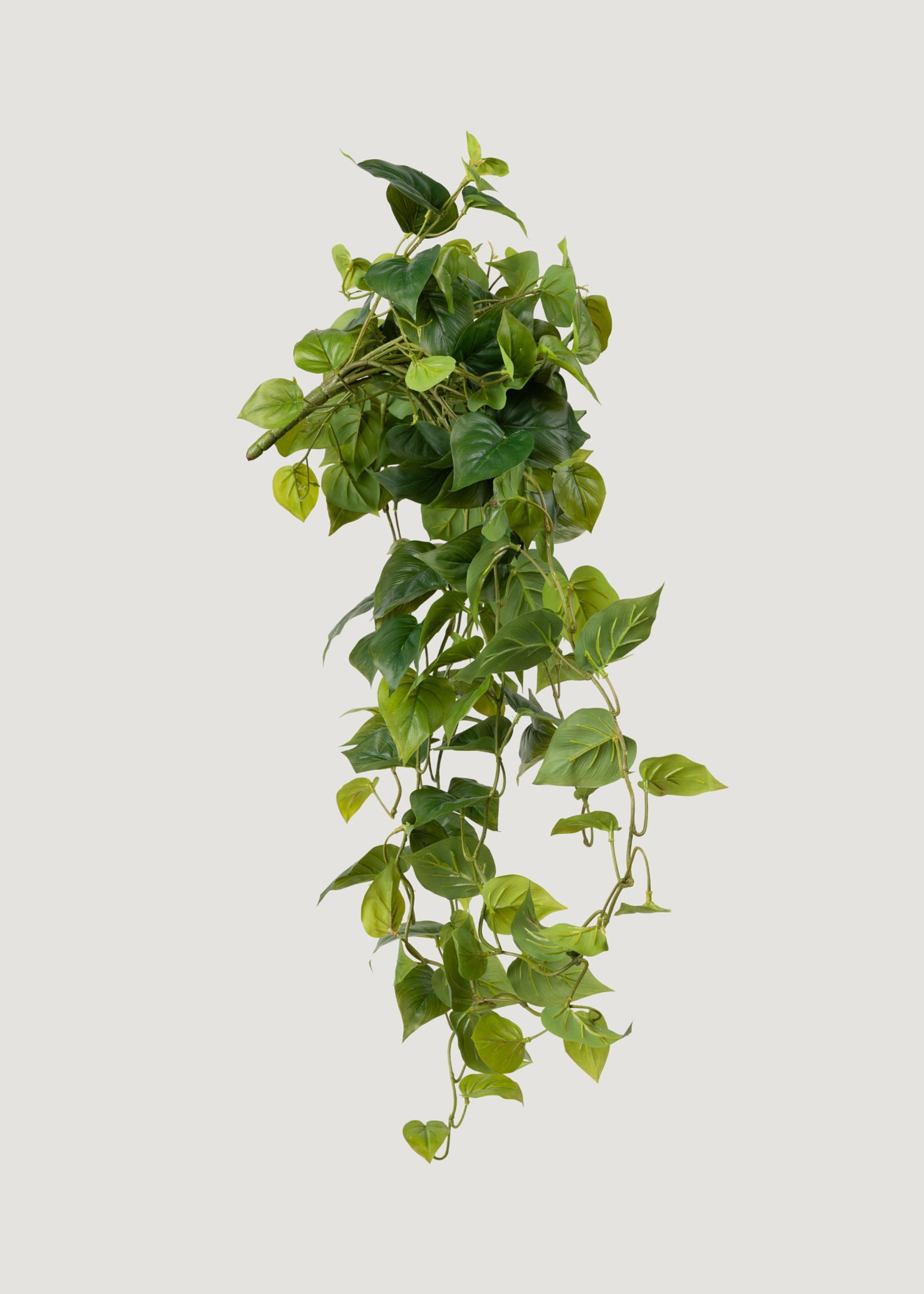 Real Touch Philodendron Hanging Bush for Vase Styling